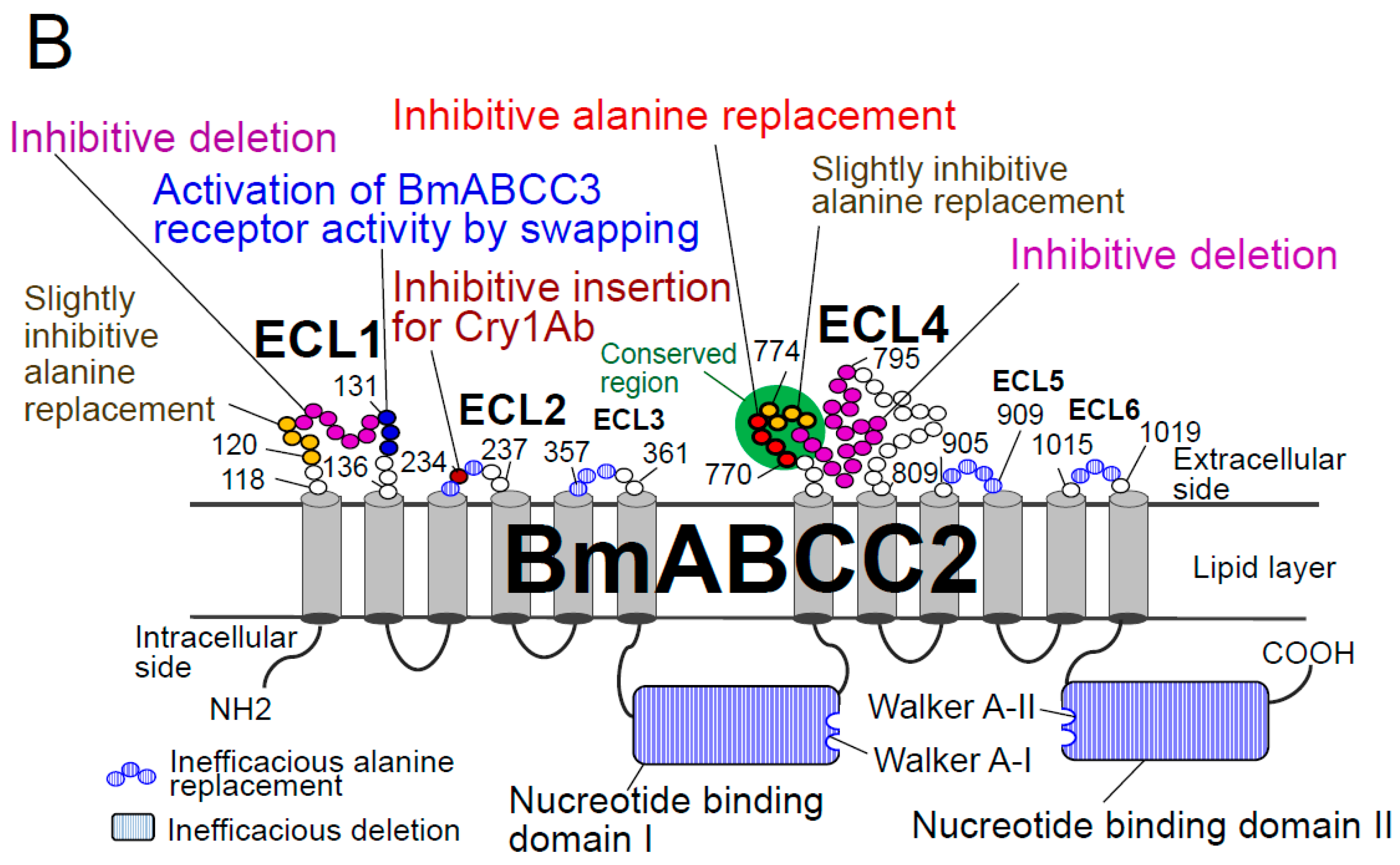 Toxins 11 00124 g002b