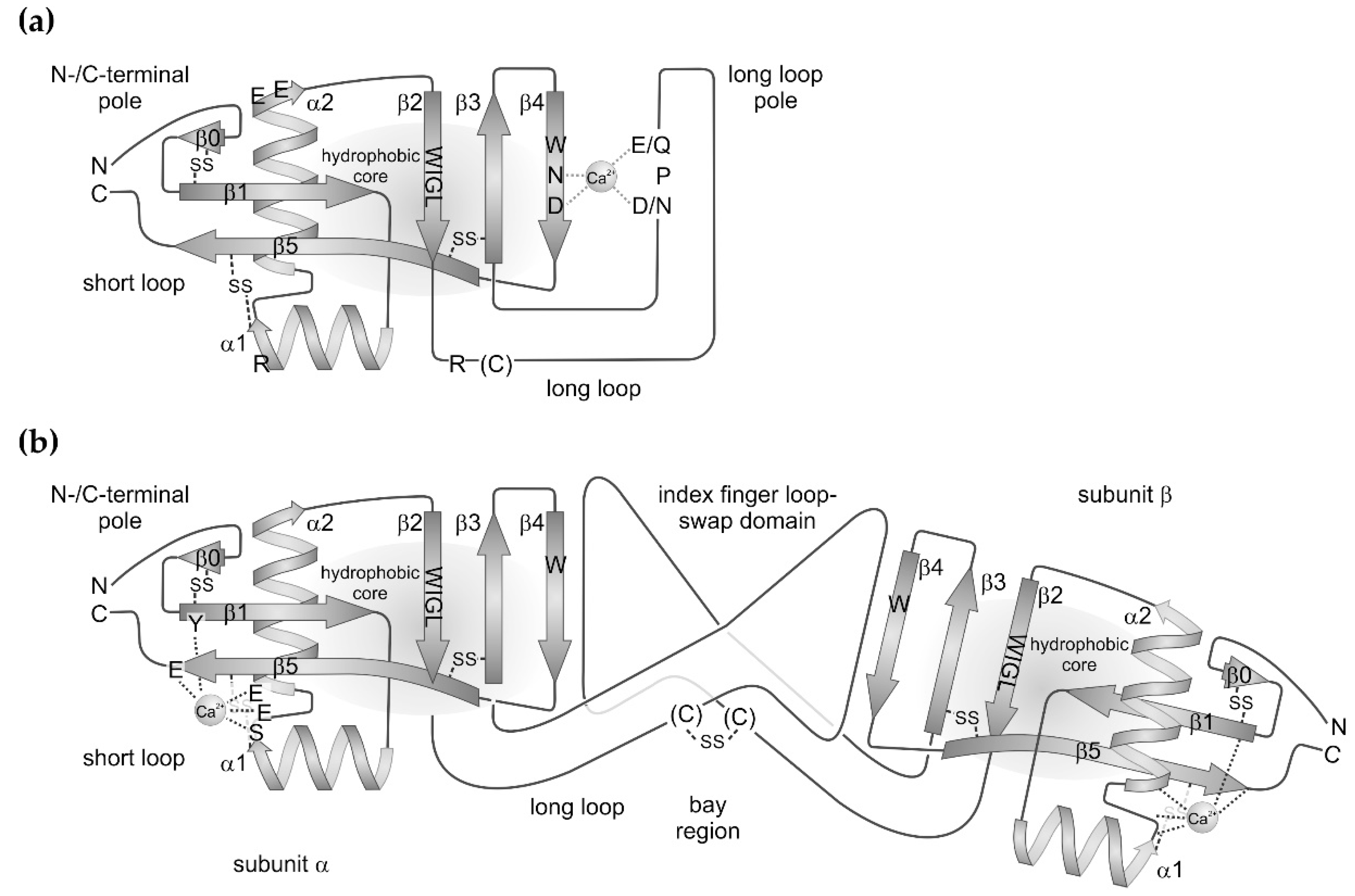 Toxins 11 00136 g001 Toxins 11 00136 g001
