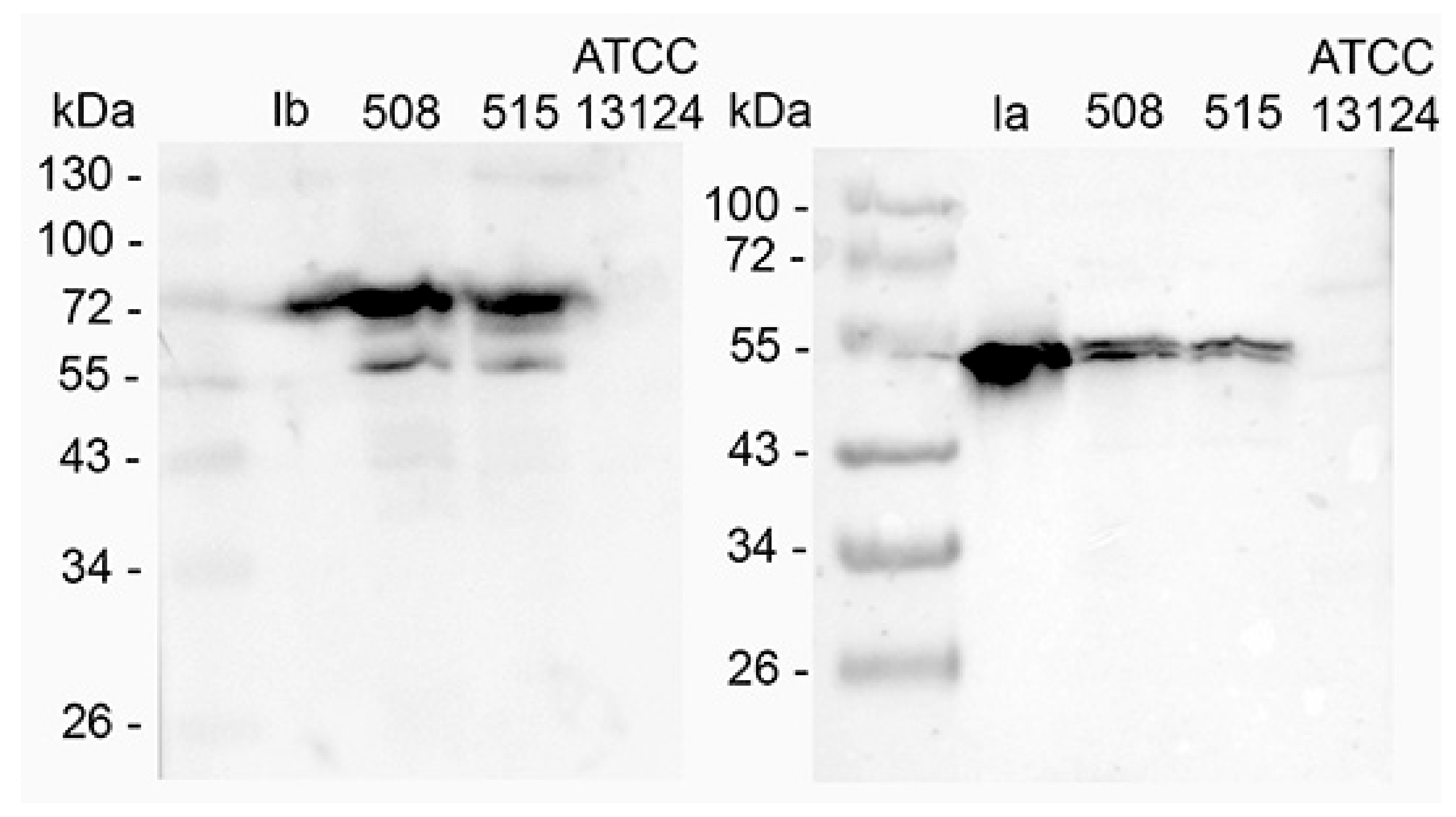 Toxins 11 00138 g001 Toxins 11 00138 g001
