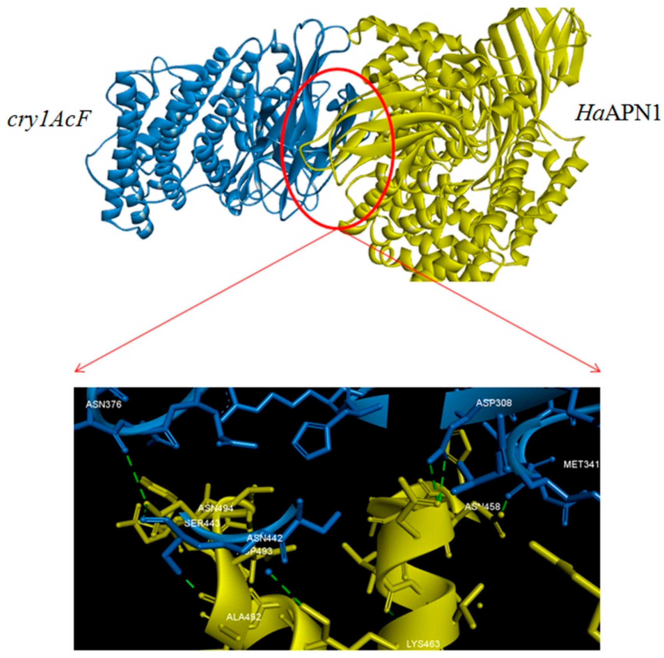 Toxins 11 00143 g004 Toxins 11 00143 g004