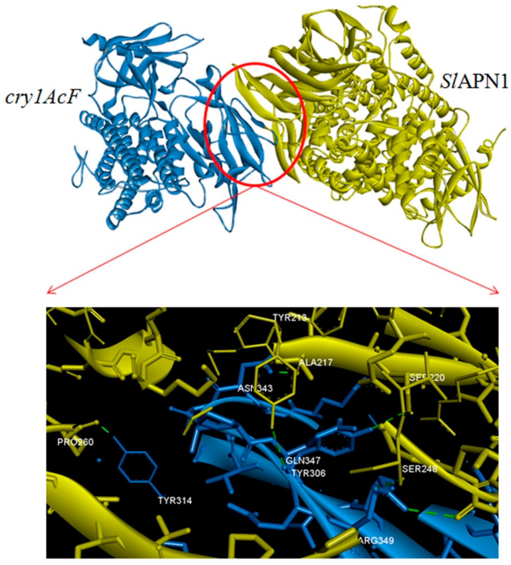 Toxins 11 00143 g005 Toxins 11 00143 g005