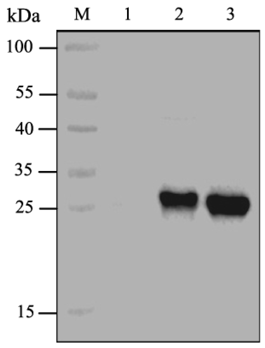 Toxins 11 00145 g001