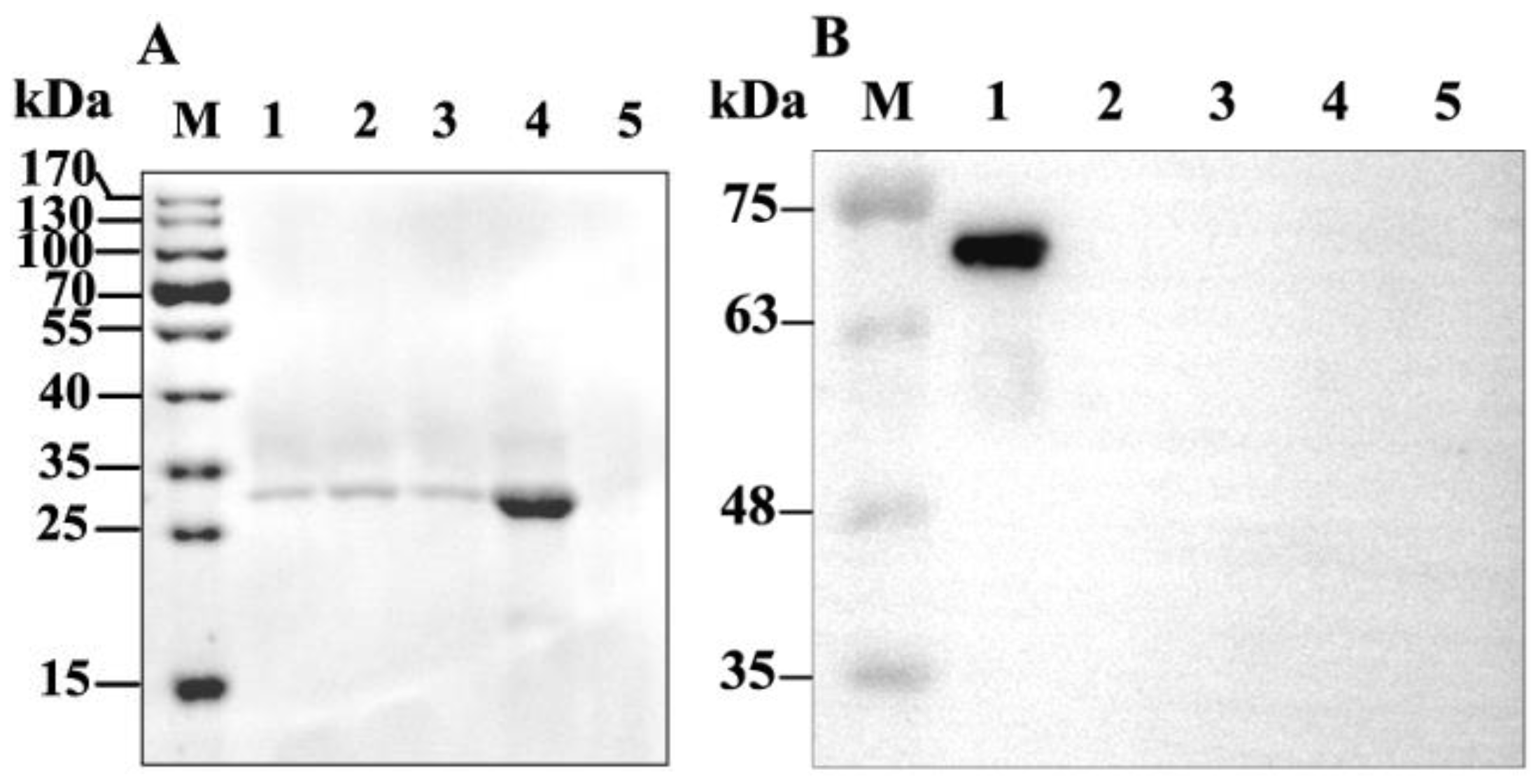 Toxins 11 00145 g002