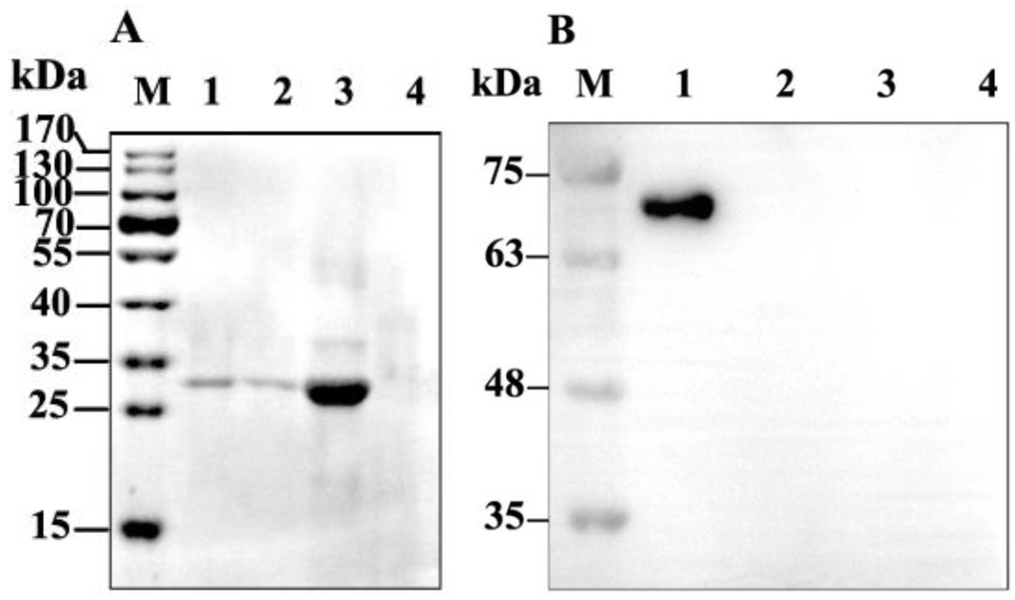 Toxins 11 00145 g003