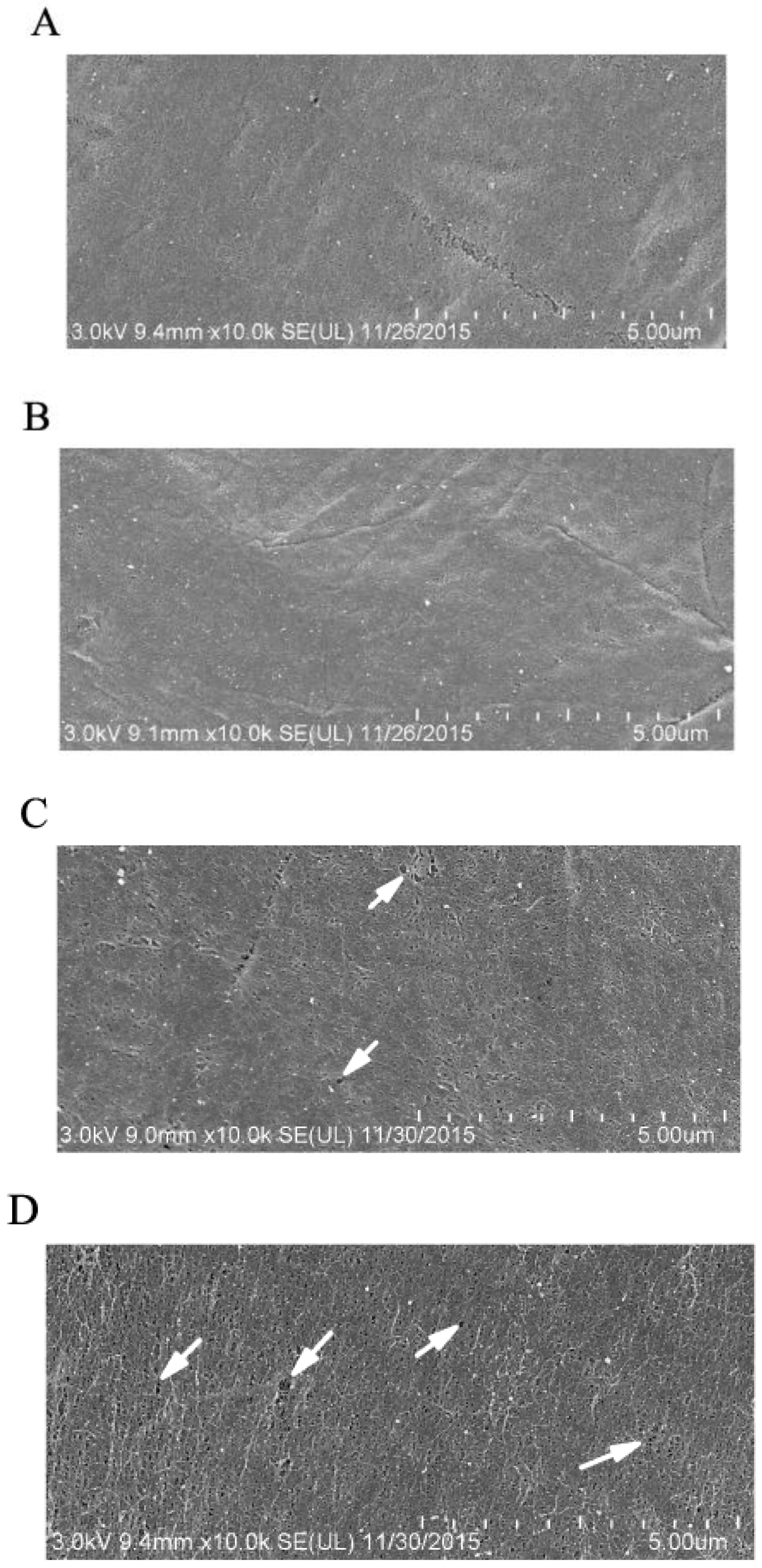 Toxins 11 00145 g004