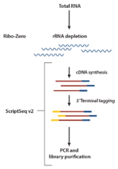 Toxins 11 00146 g0a2 550