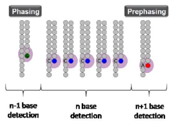 Toxins 11 00146 g0a3 550