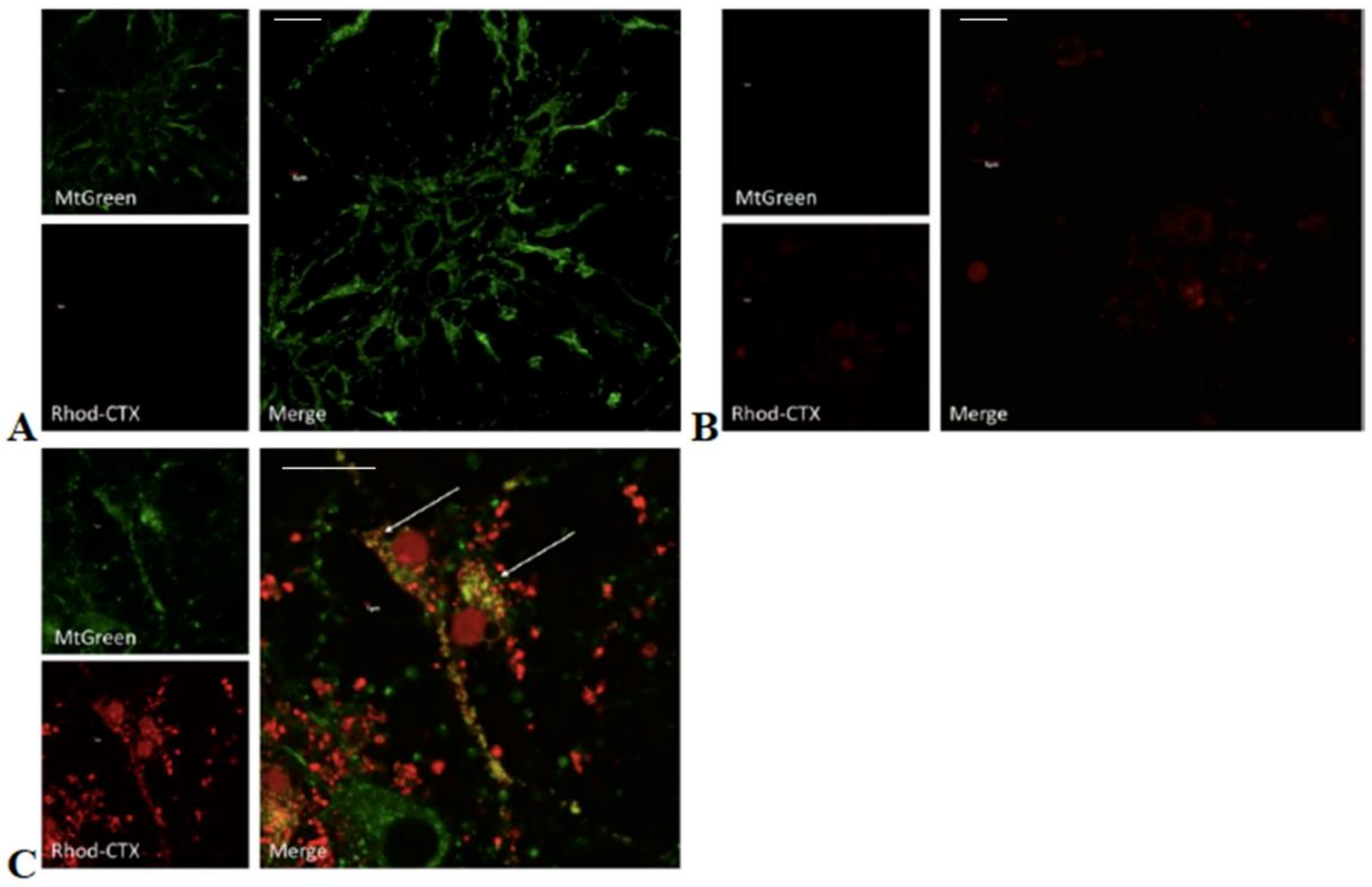 Toxins 11 00152 g003