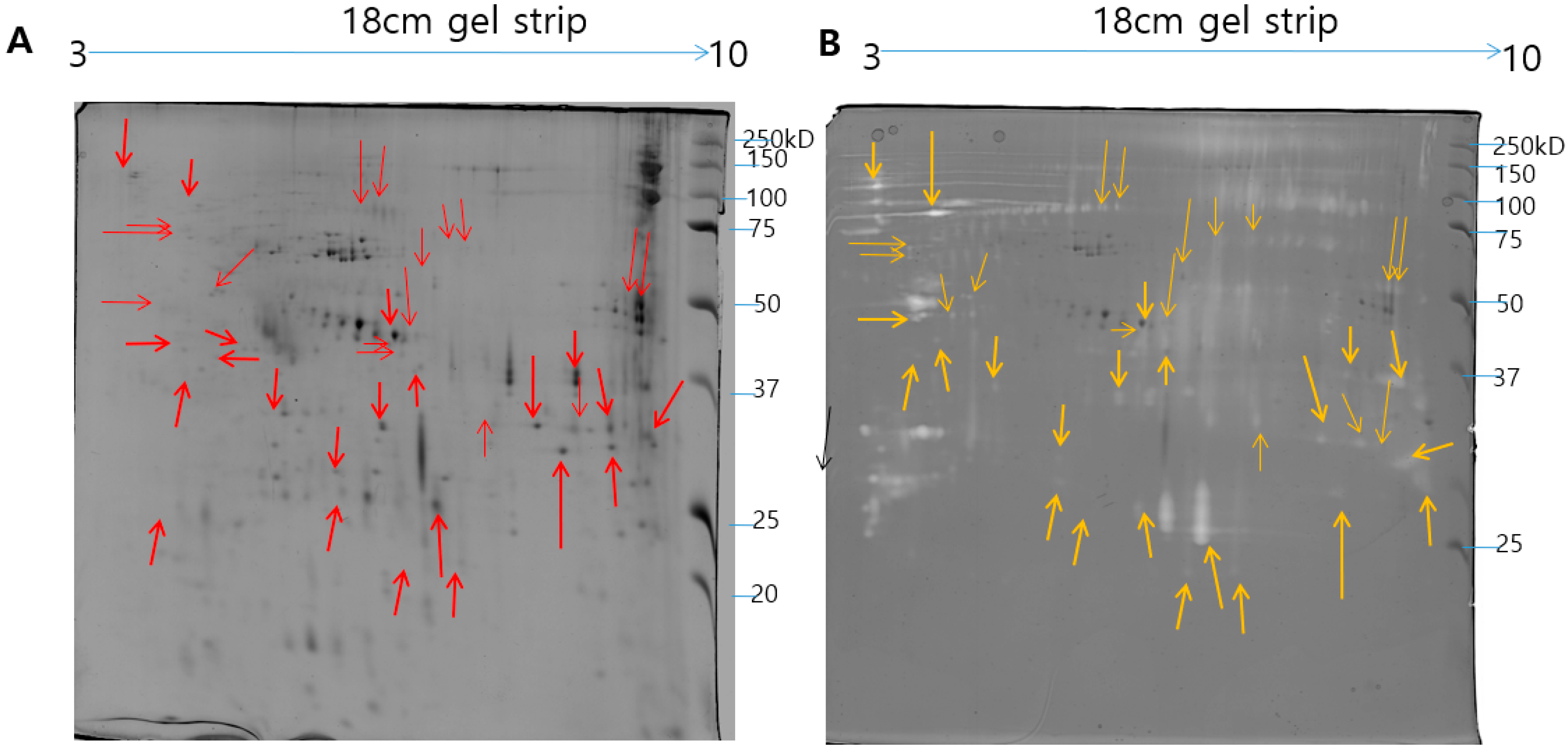 Toxins 11 00153 g004