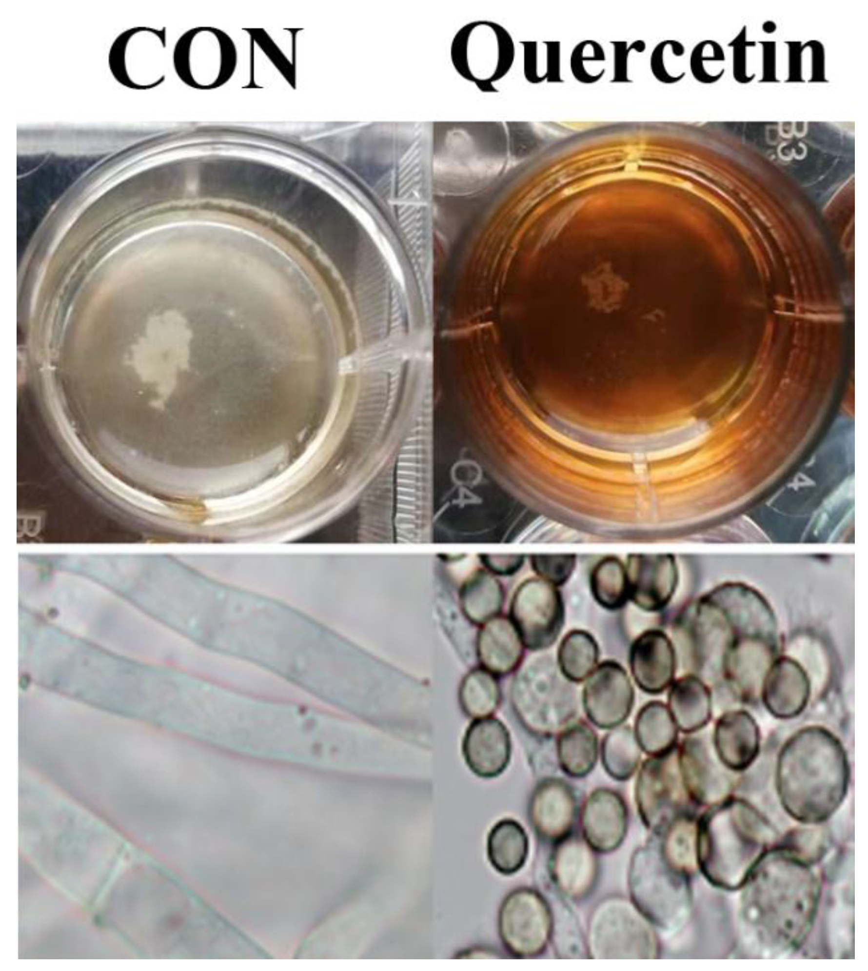 Toxins 11 00154 g002 Toxins 11 00154 g002