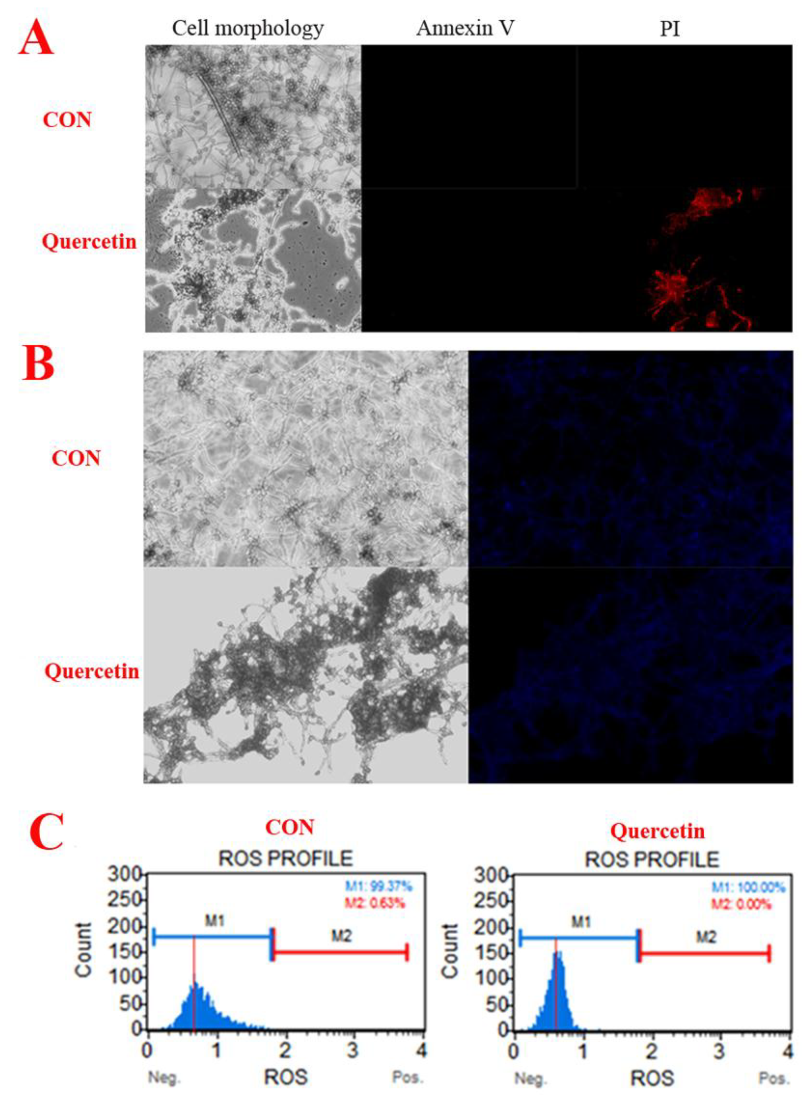 Toxins 11 00154 g003 Toxins 11 00154 g003