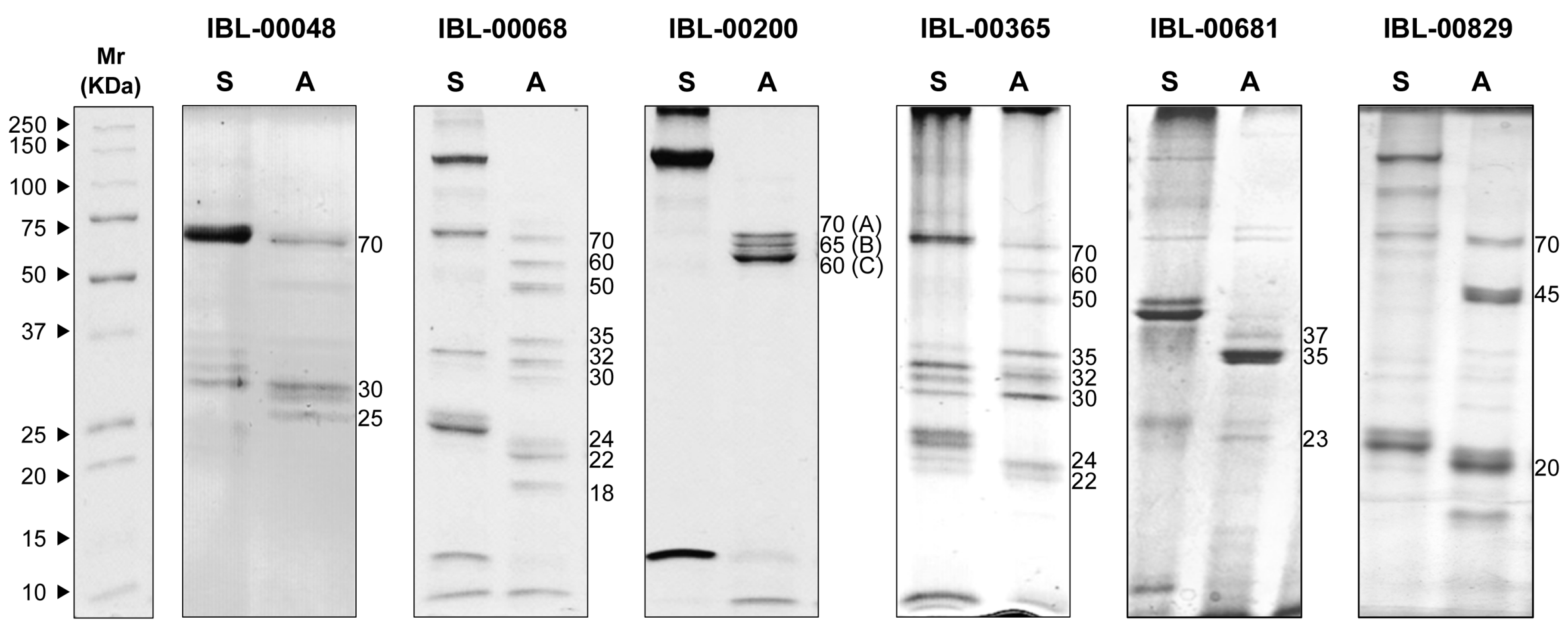Toxins 11 00173 g001