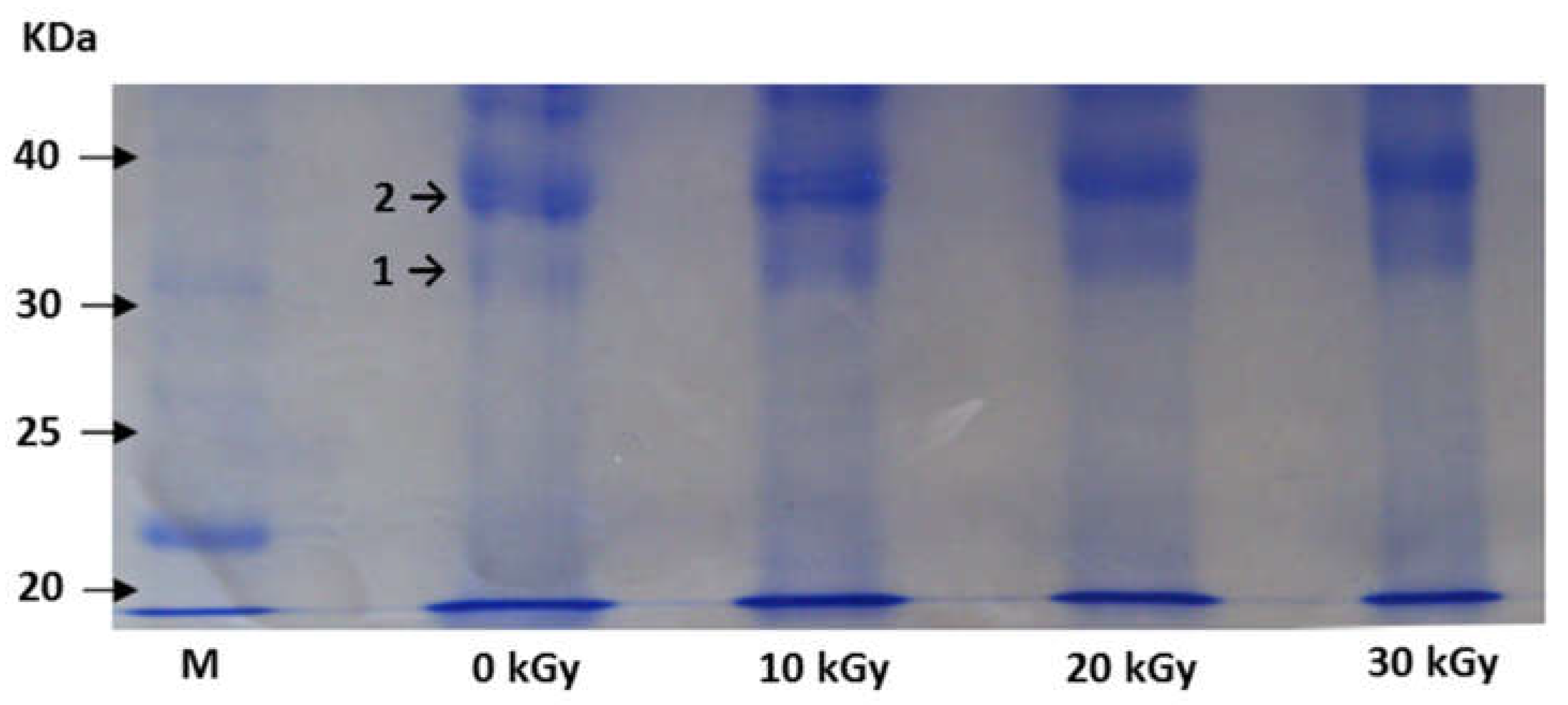 Toxins 11 00201 g002