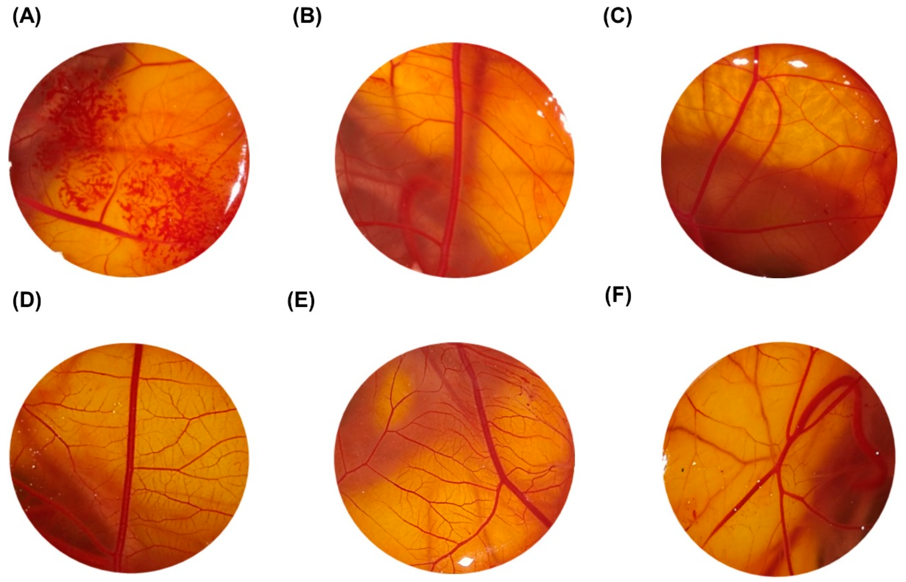Toxins 11 00203 g002