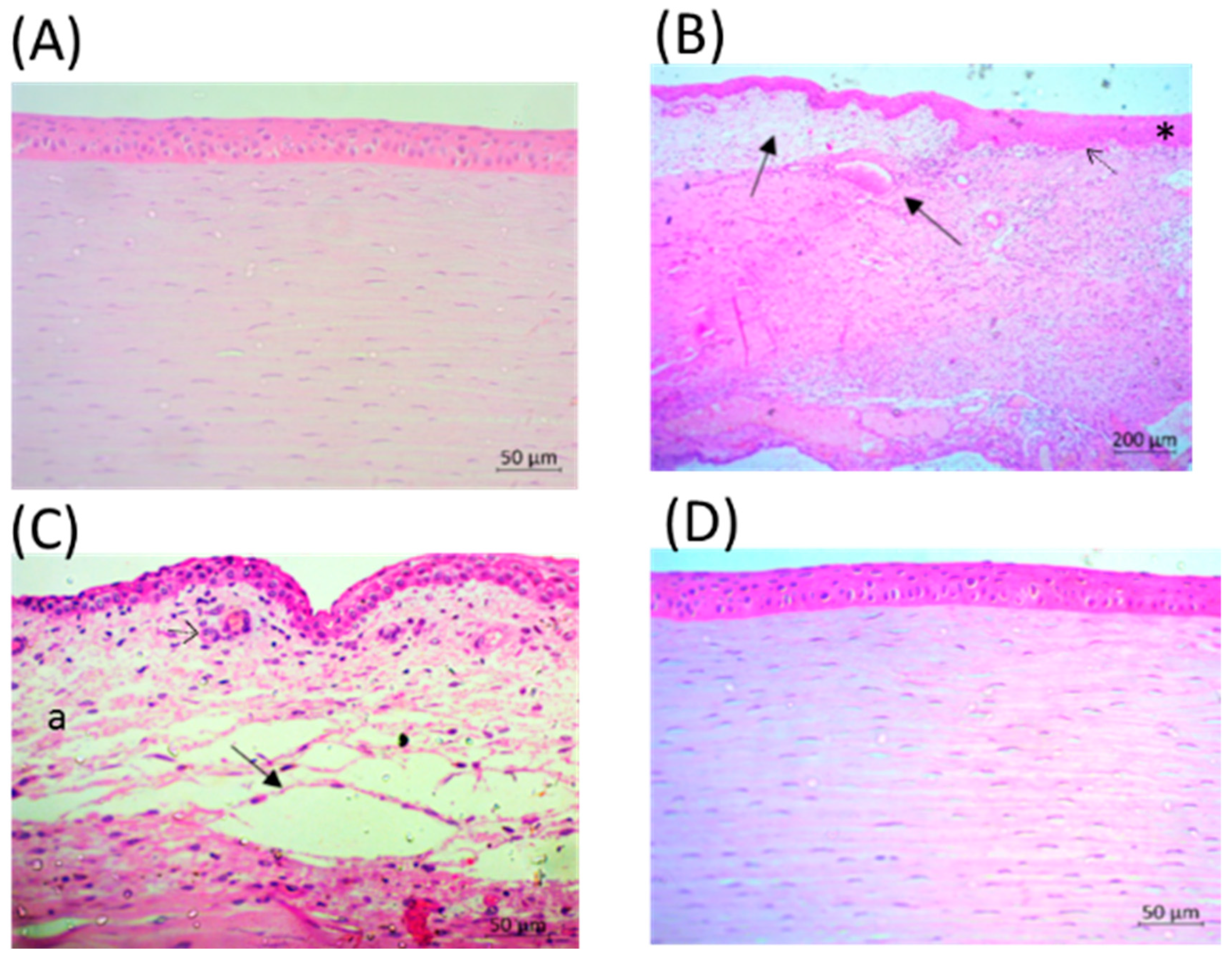 Toxins 11 00203 g006