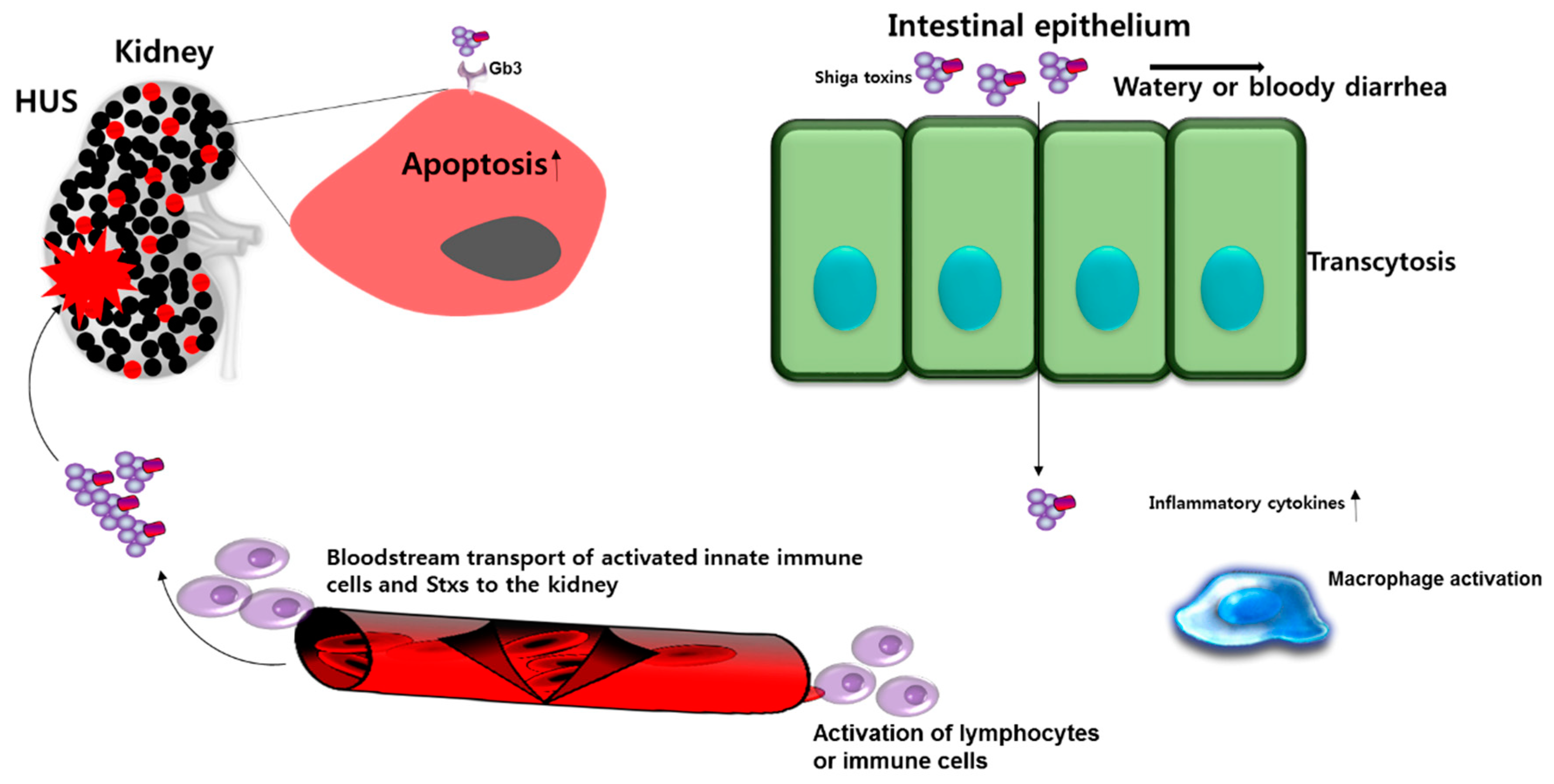 Toxins 11 00212 g002 Toxins 11 00212 g002