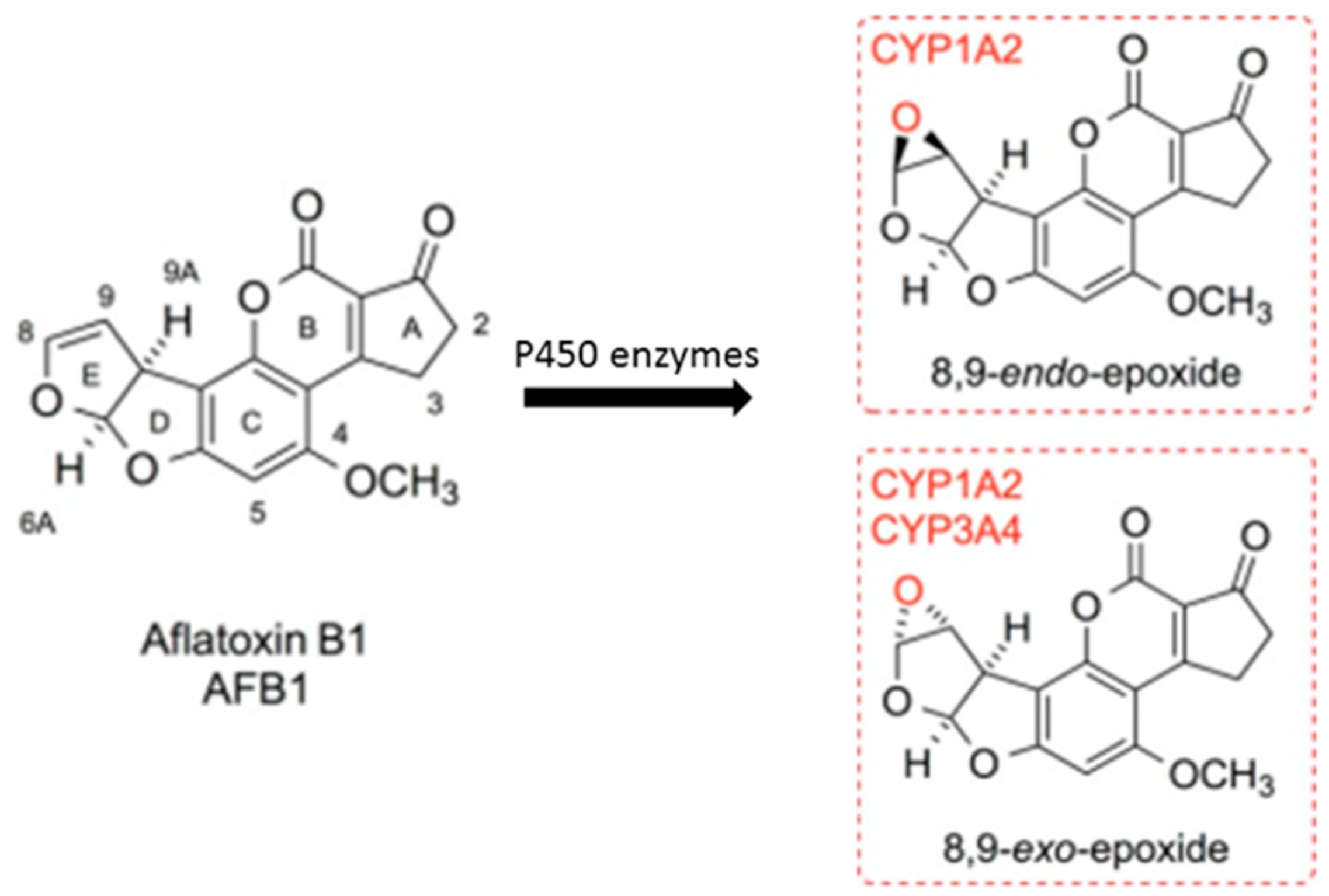 Toxins 11 00214 g001