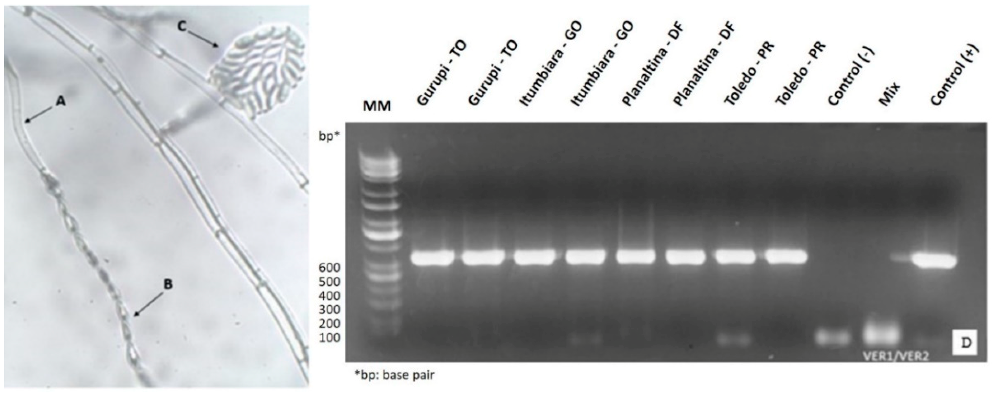 Toxins 11 00215 g001 Toxins 11 00215 g001