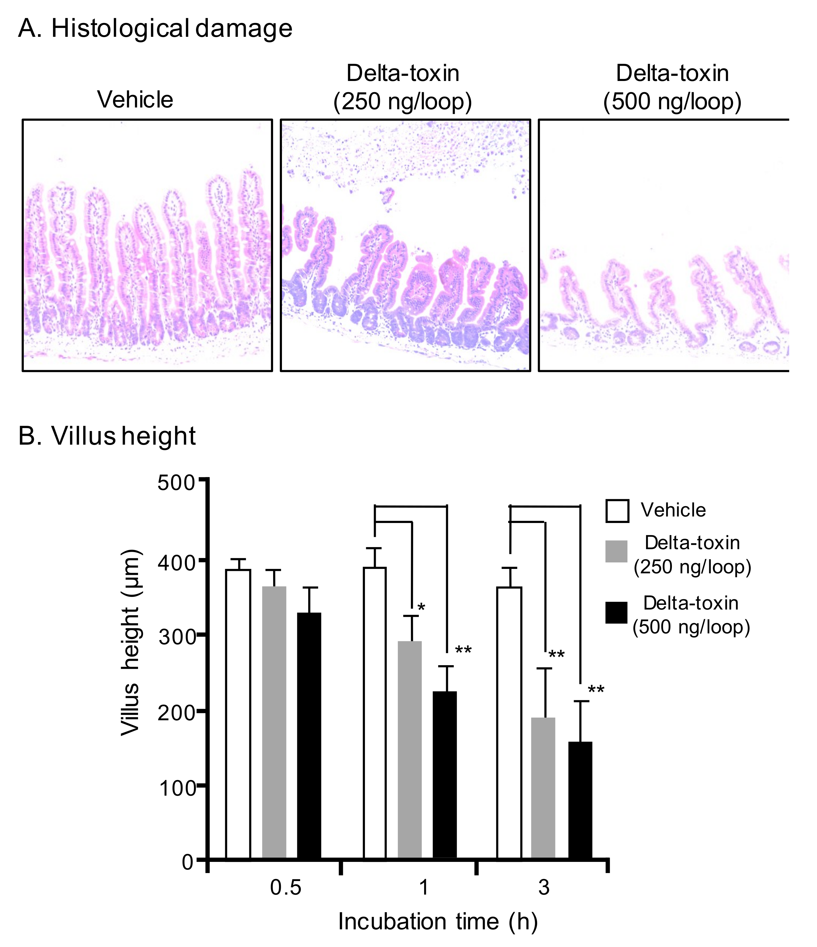 Toxins 11 00232 g002