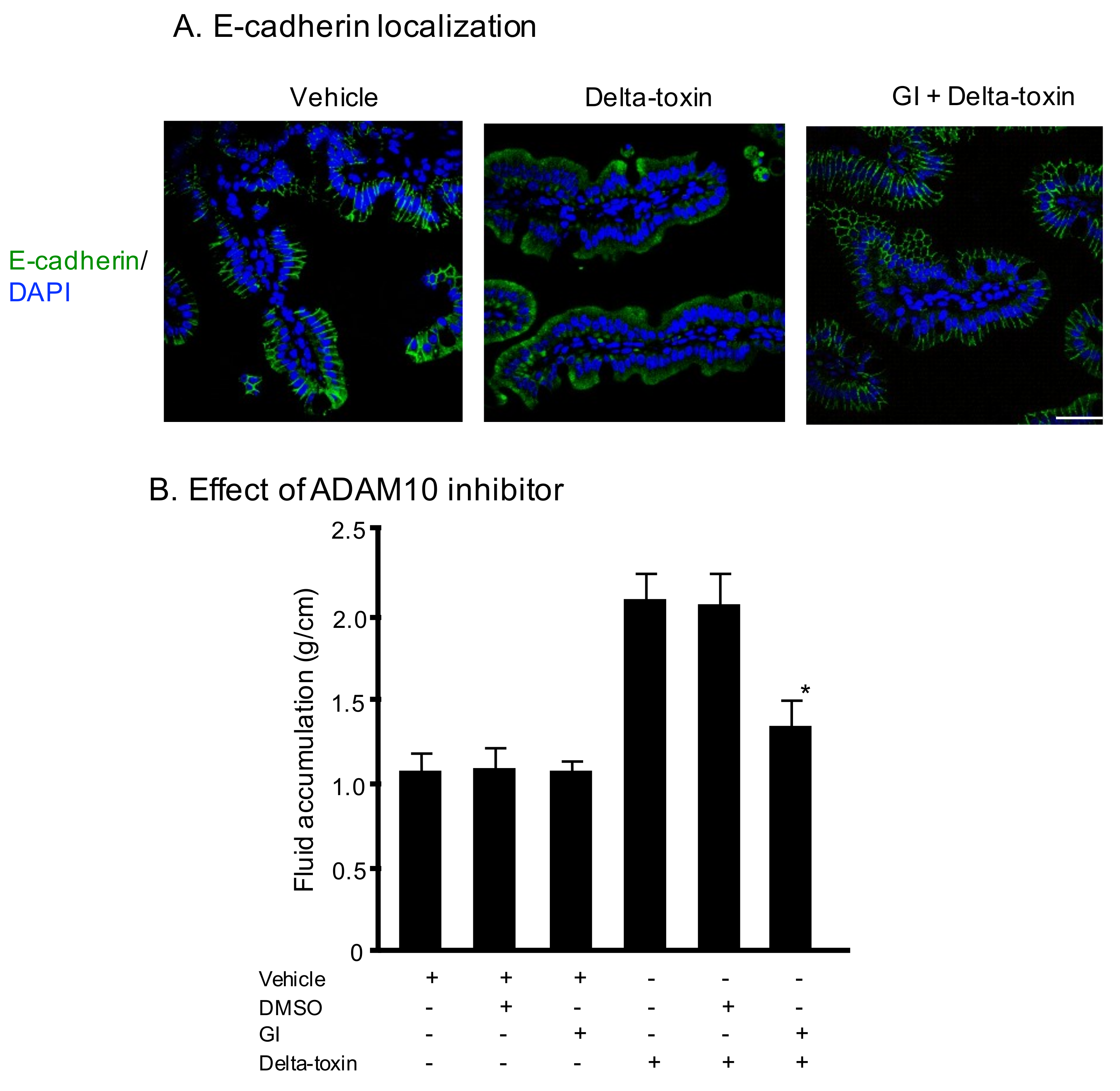 Toxins 11 00232 g003