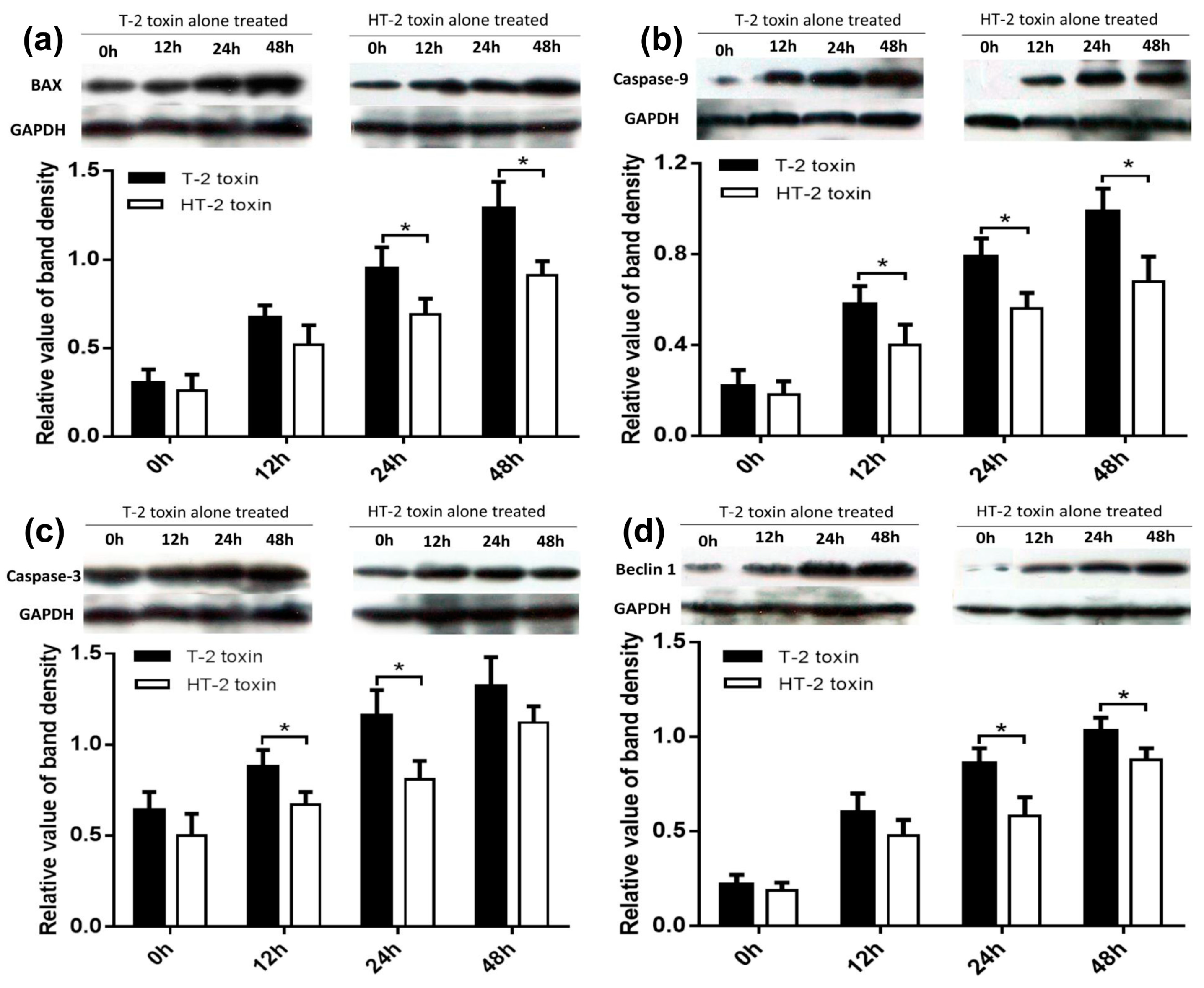 Toxins 11 00260 g005