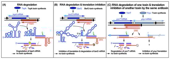 Toxins 11 00262 g001