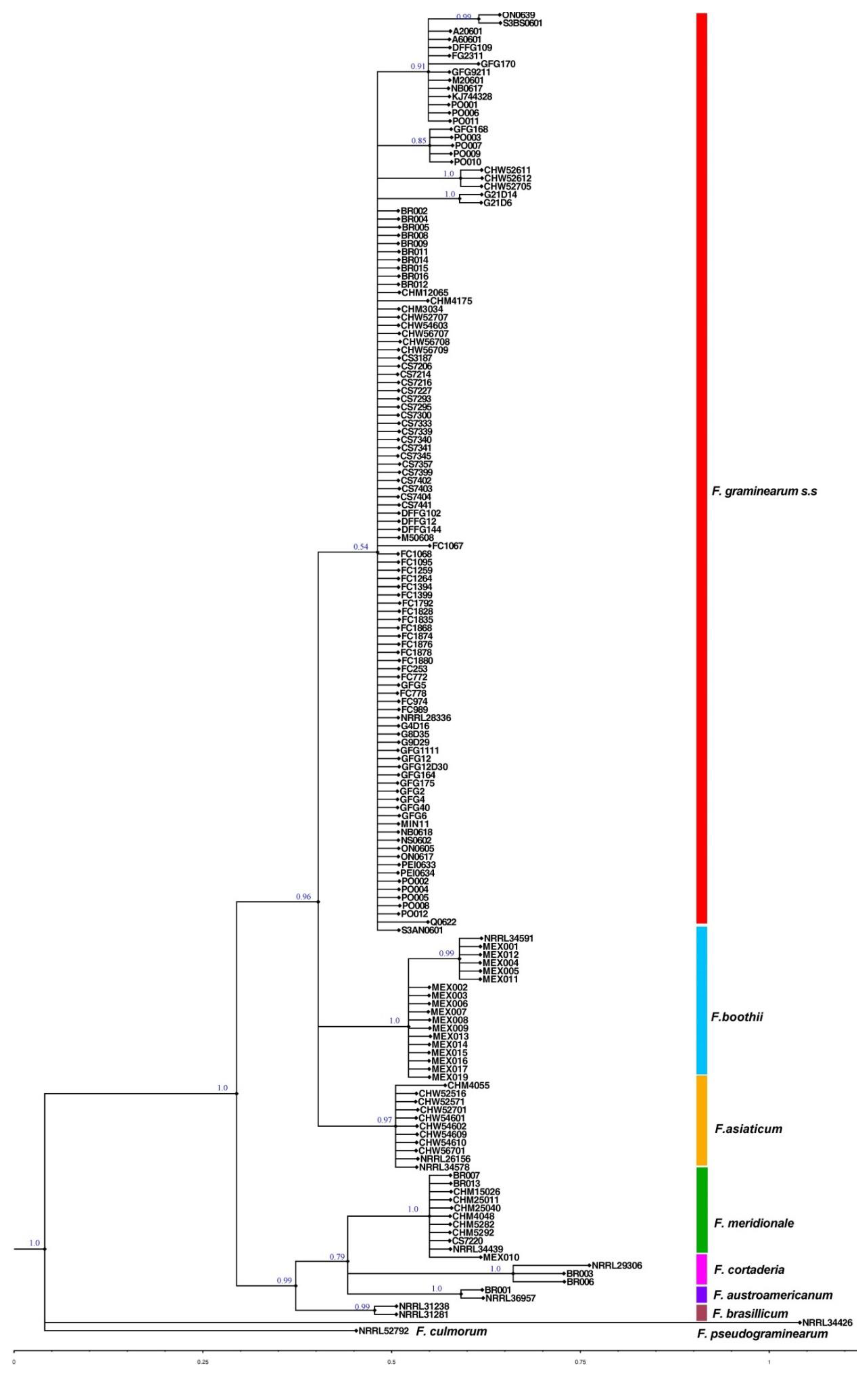 Toxins 11 00263 g001 Toxins 11 00263 g001