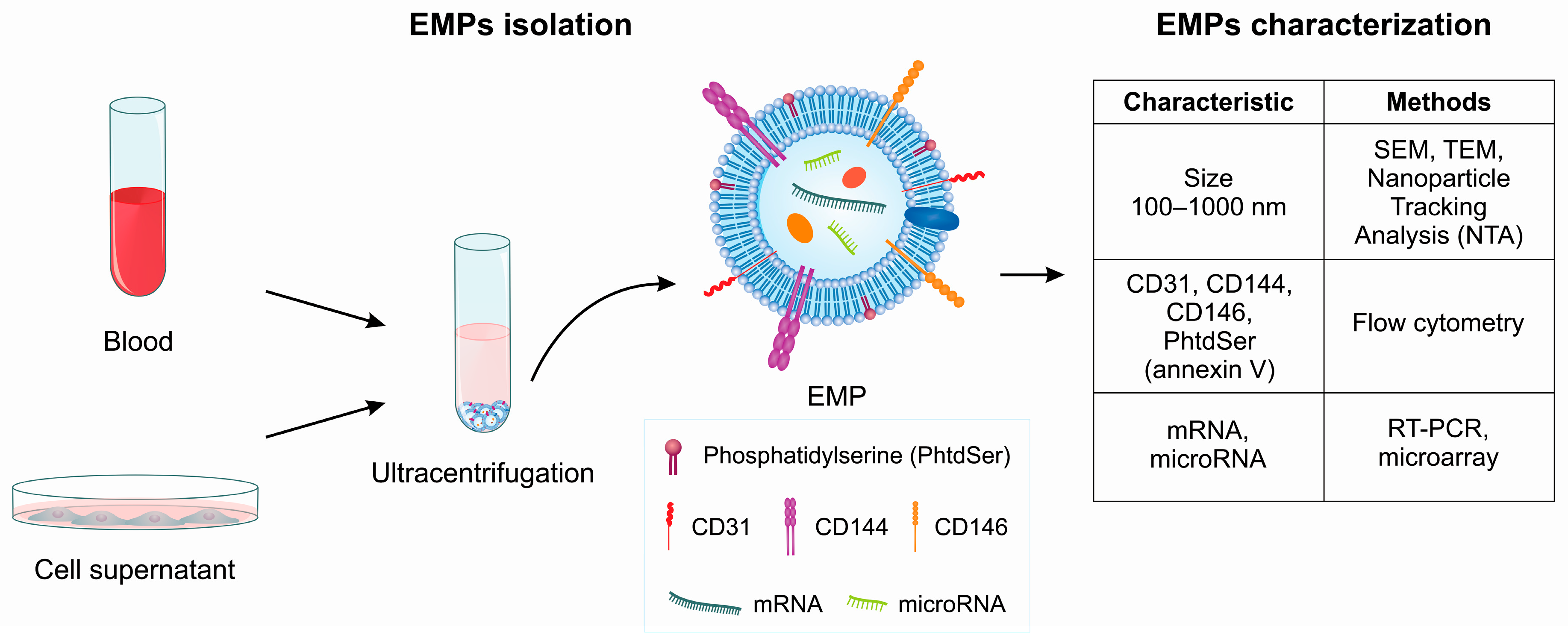 Toxins 11 00267 g002 Toxins 11 00267 g002