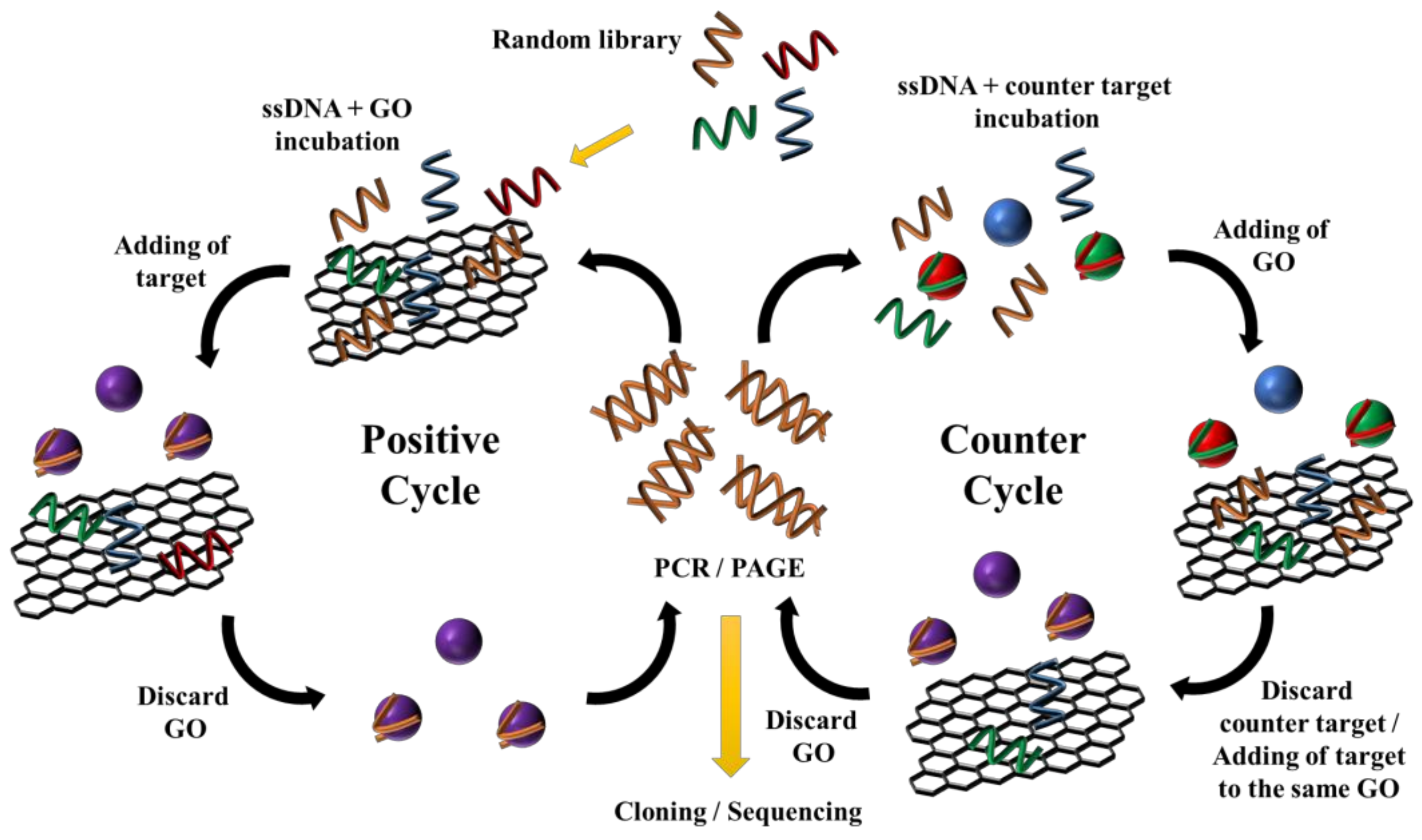Toxins 11 00274 sch001 Toxins 11 00274 sch001