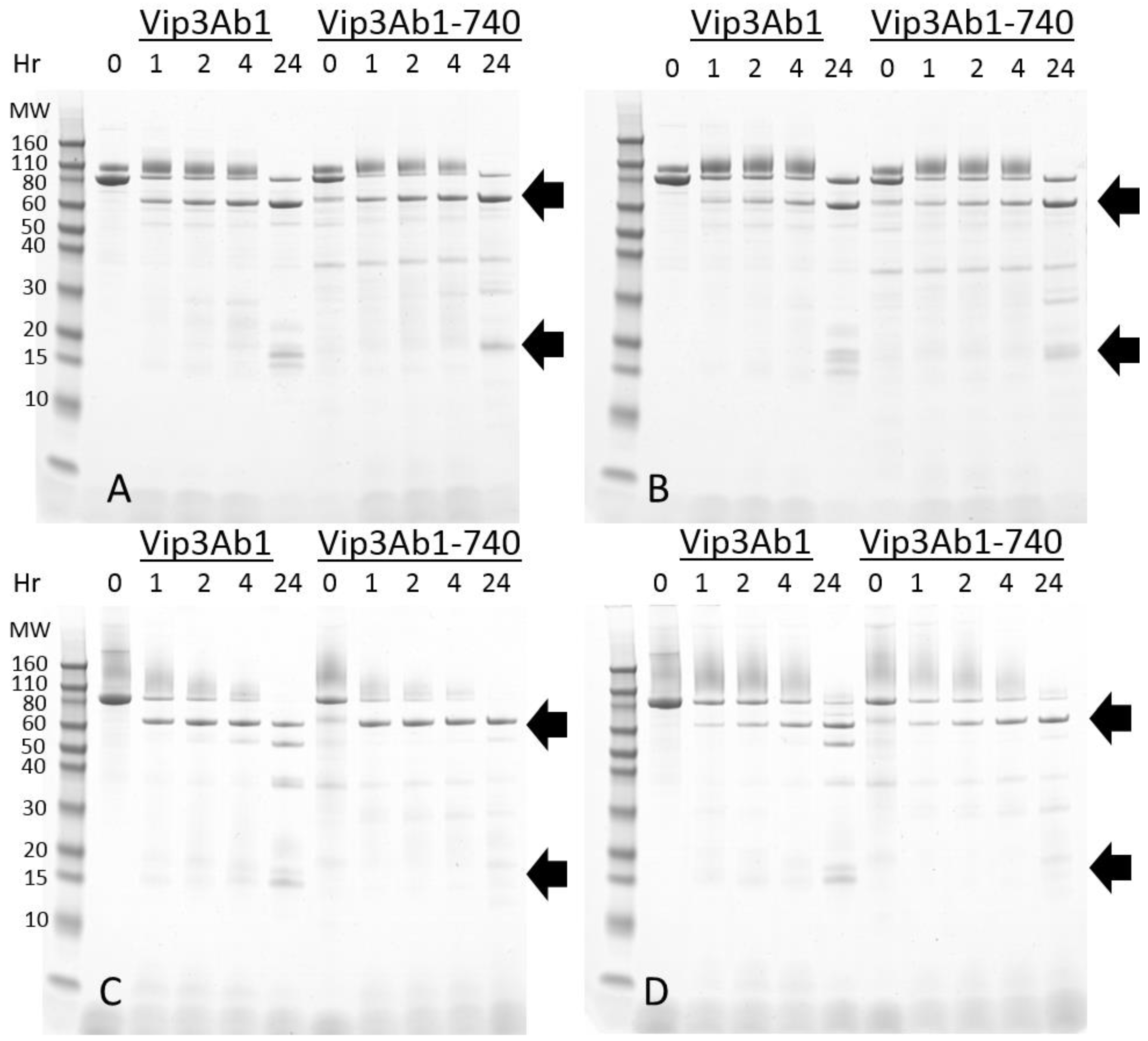 Toxins 11 00276 g001