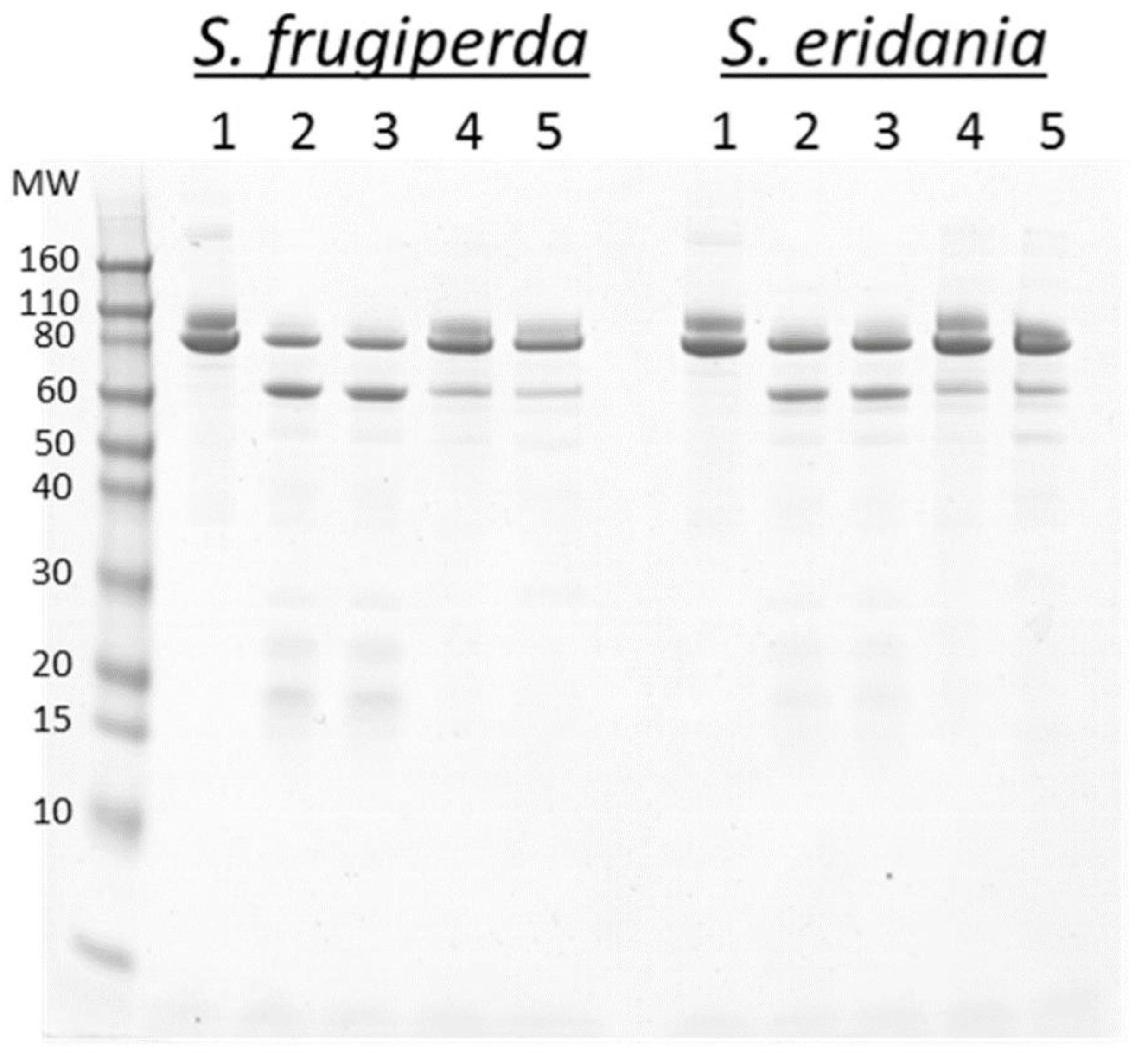 Toxins 11 00276 g003