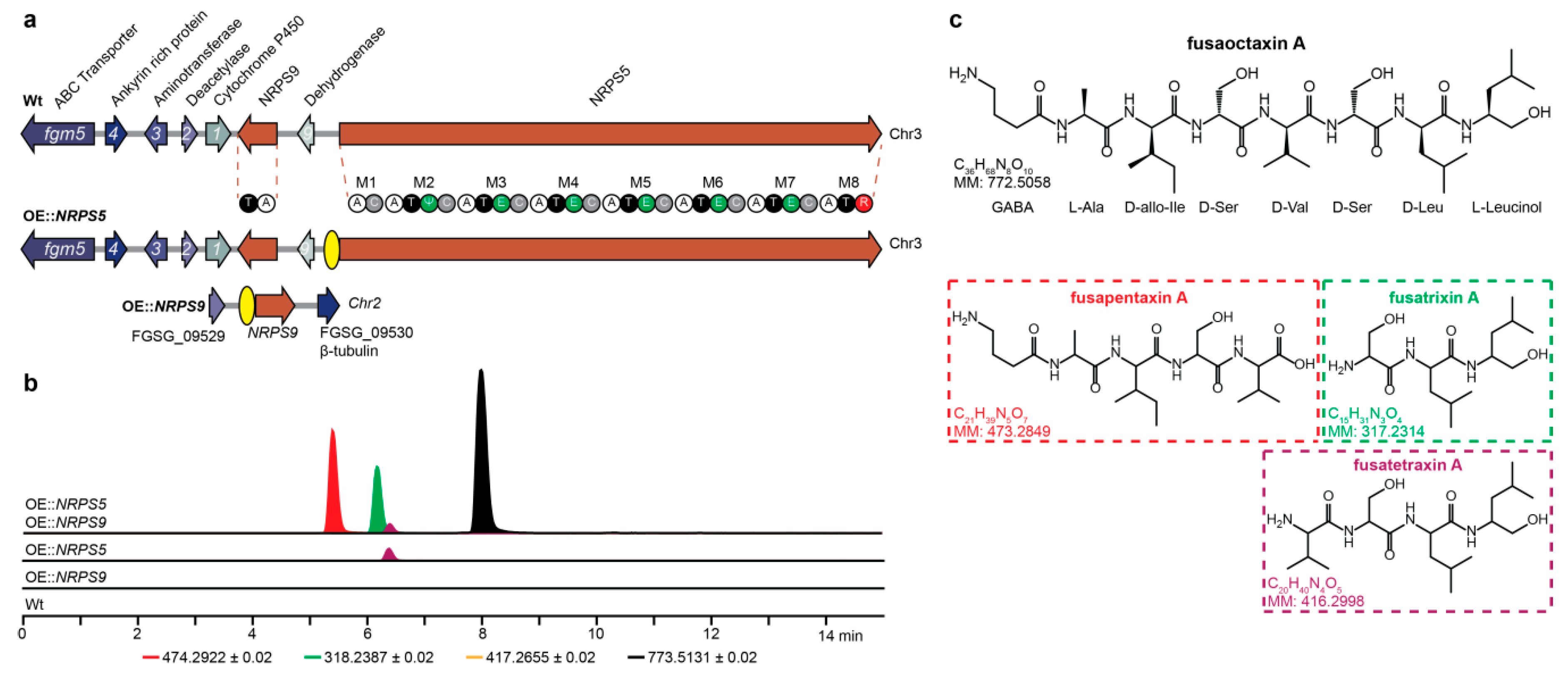 Toxins 11 00277 g001