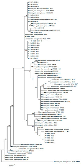 Toxins 11 00288 g0a1