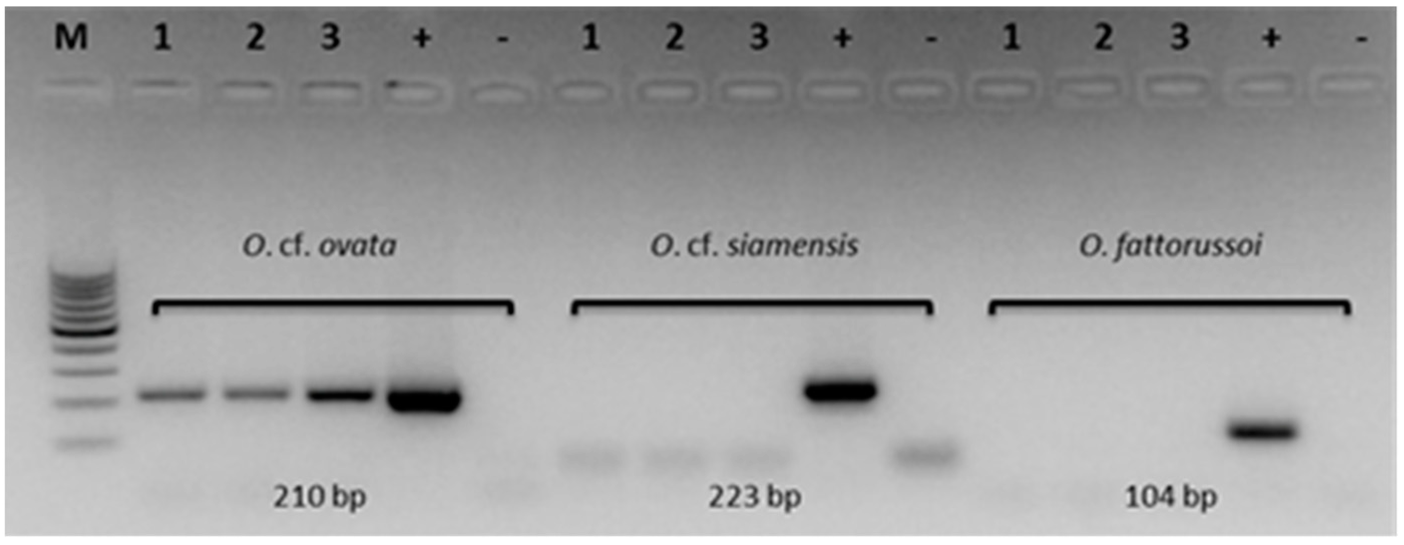 Toxins 11 00300 g004 Toxins 11 00300 g004