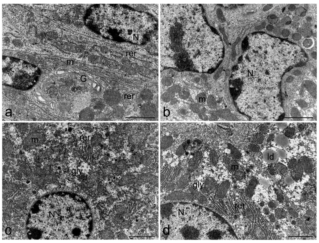 Toxins 11 00305 g006