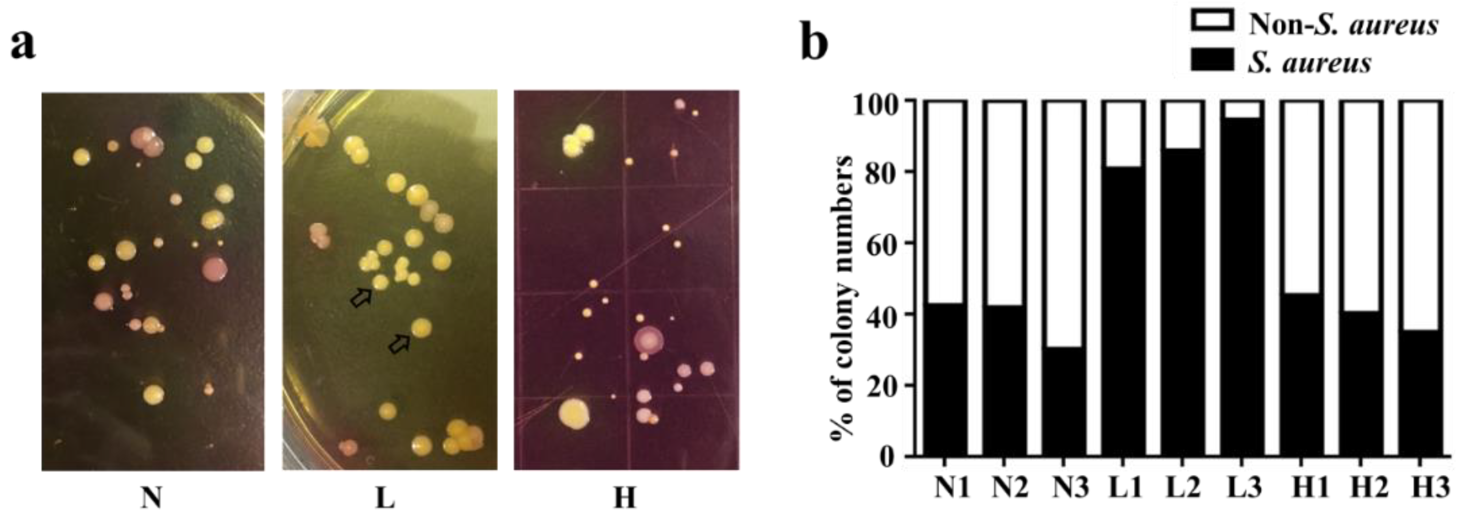 Toxins 11 00311 g001 Toxins 11 00311 g001