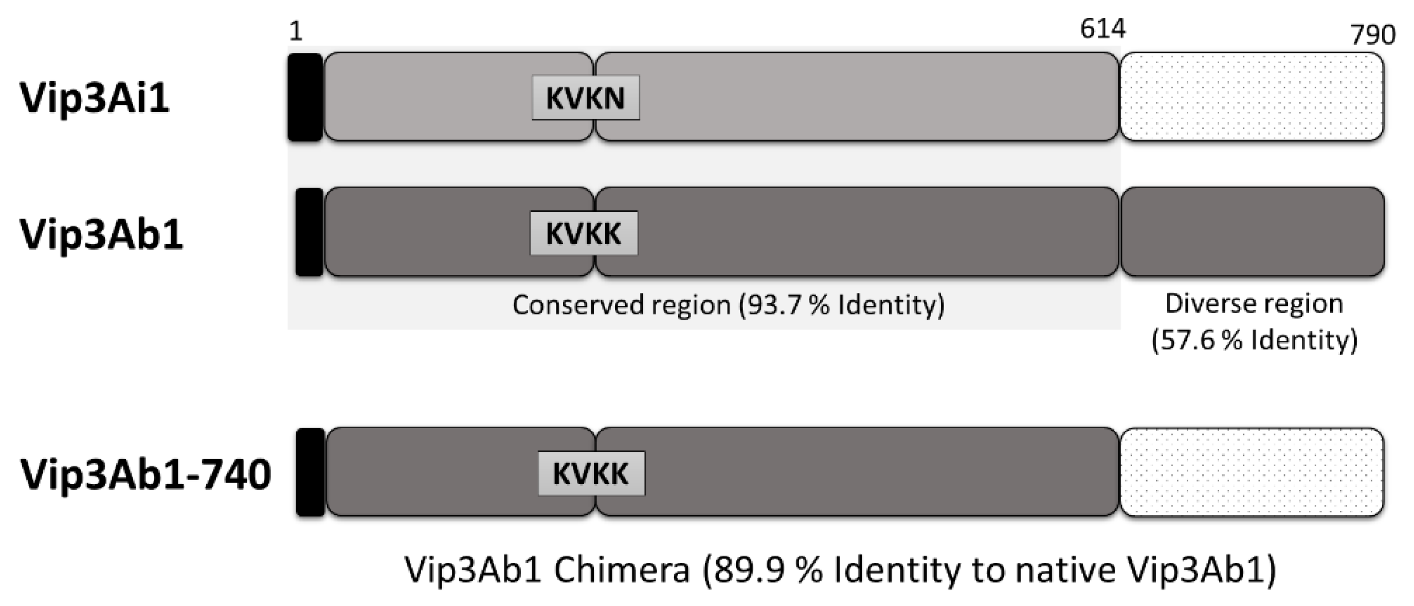 Toxins 11 00316 g001