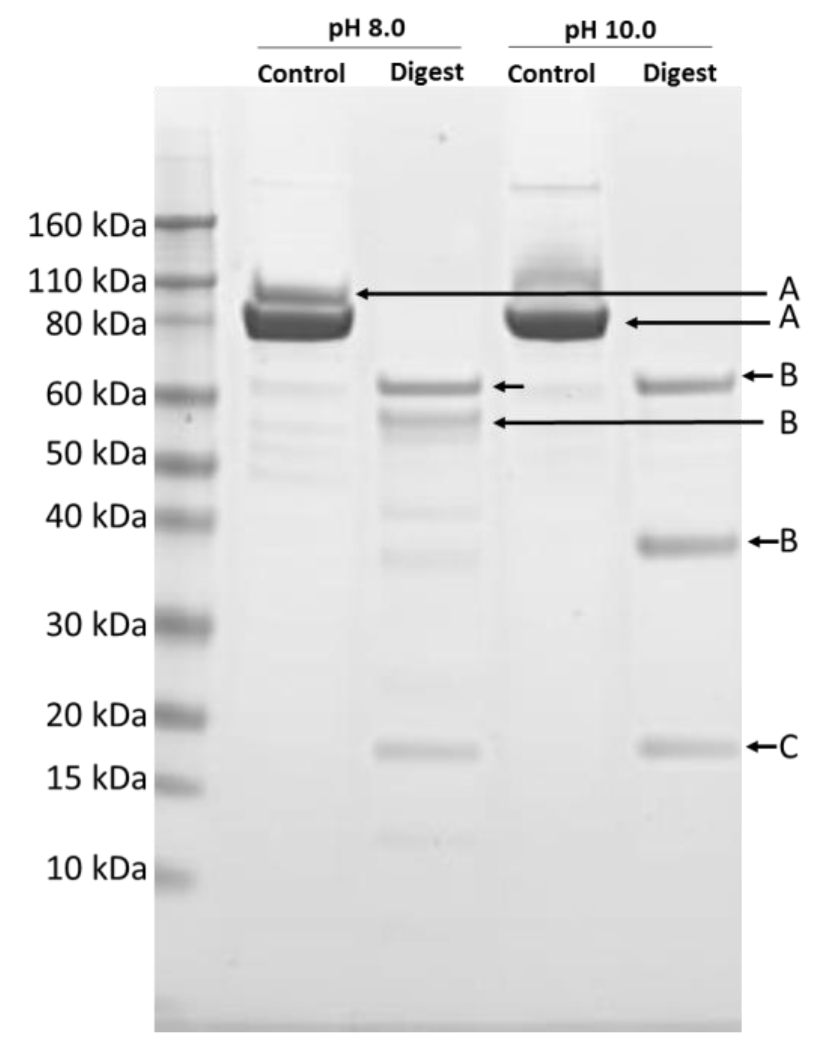 Toxins 11 00316 g002