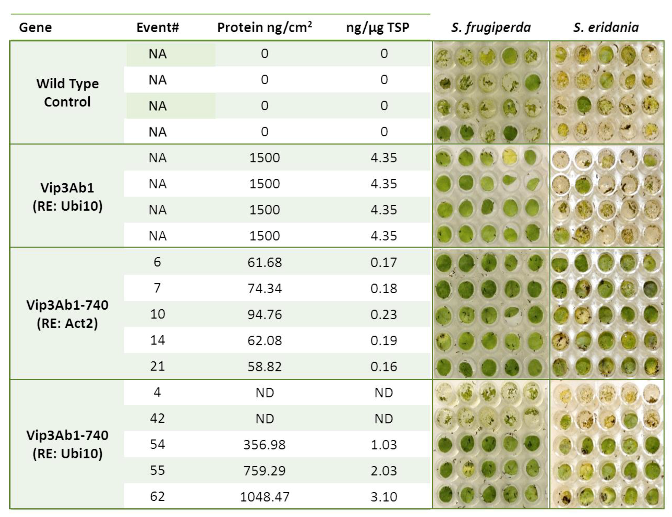 Toxins 11 00316 g005