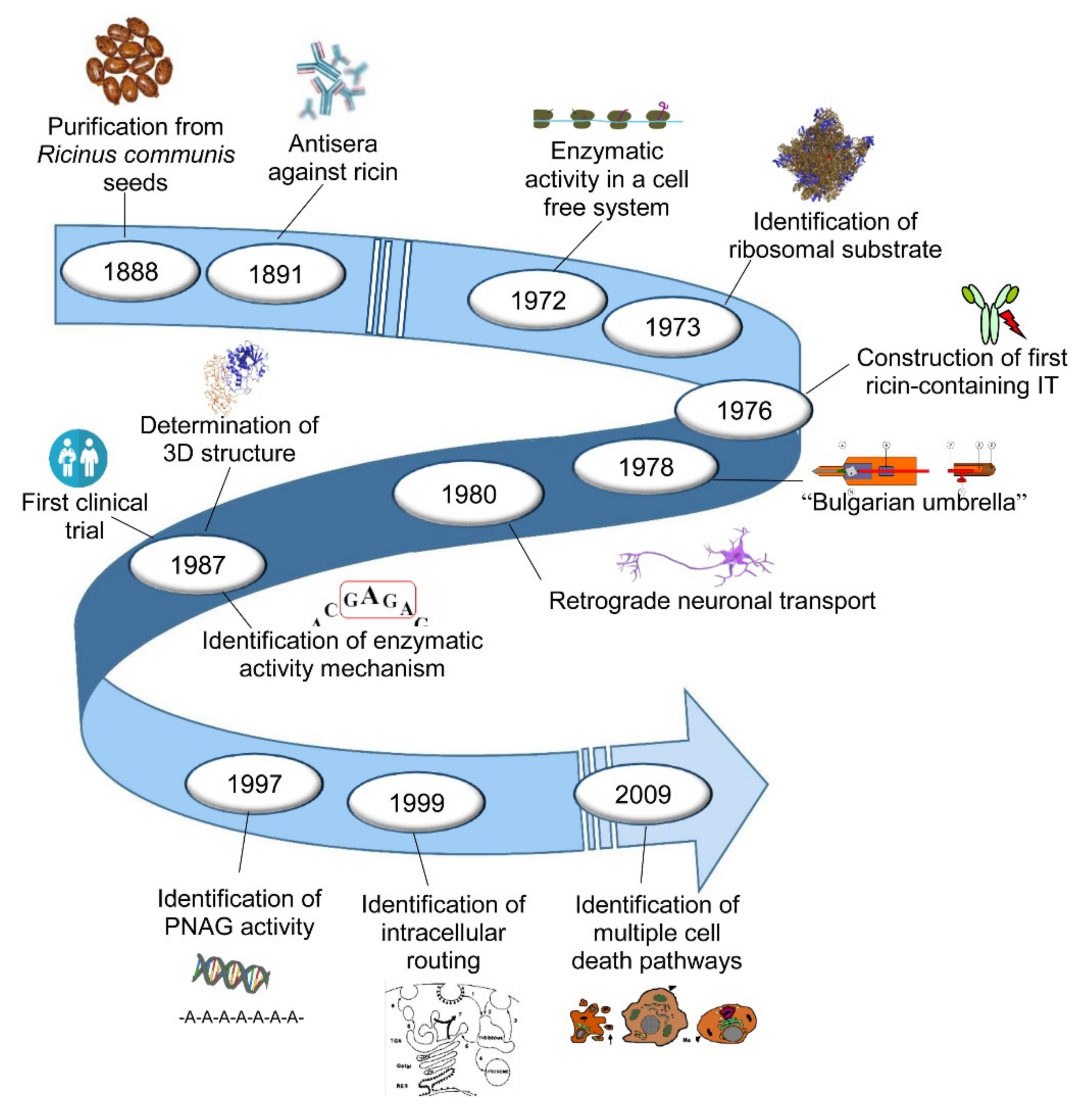 Toxins 11 00324 g001 Toxins 11 00324 g001