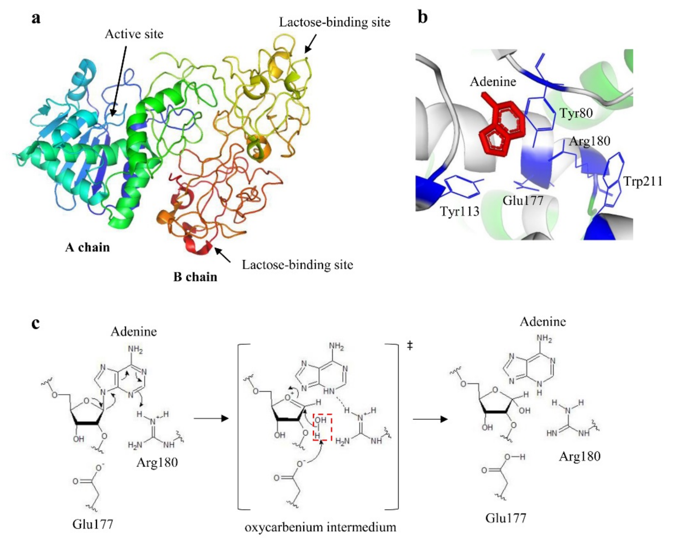 Toxins 11 00324 g002 Toxins 11 00324 g002