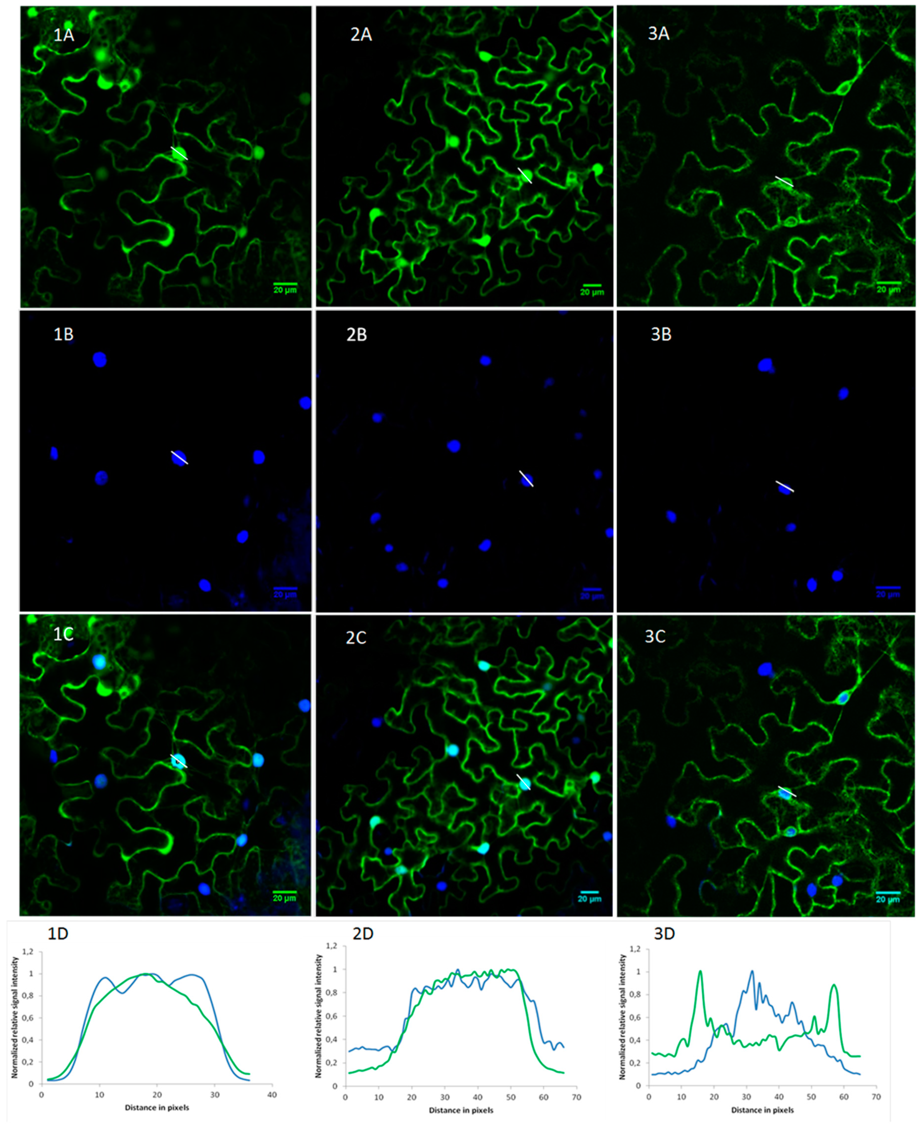 Toxins 11 00325 g006 Toxins 11 00325 g006