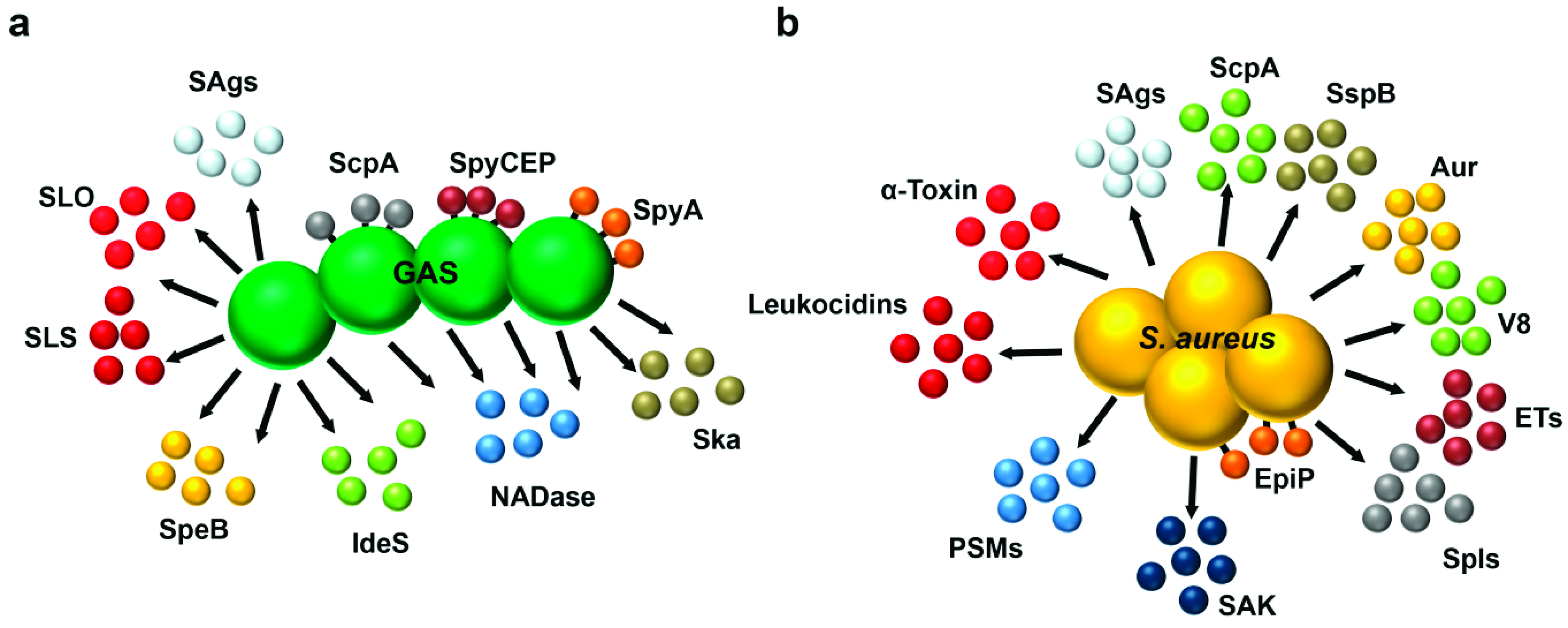 Toxins 11 00332 g001
