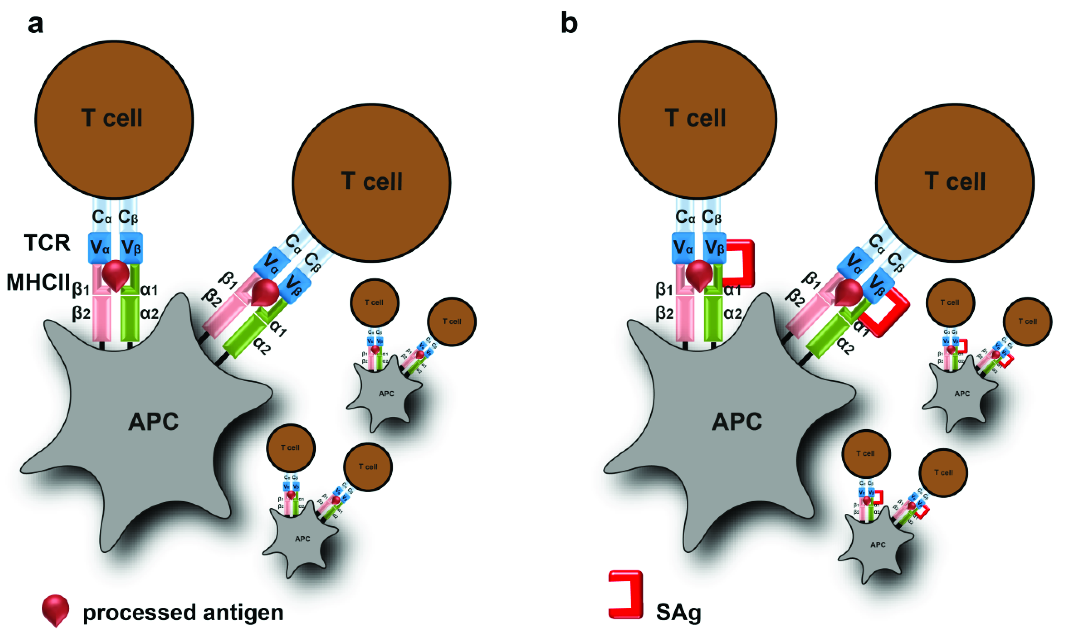 Toxins 11 00332 g002