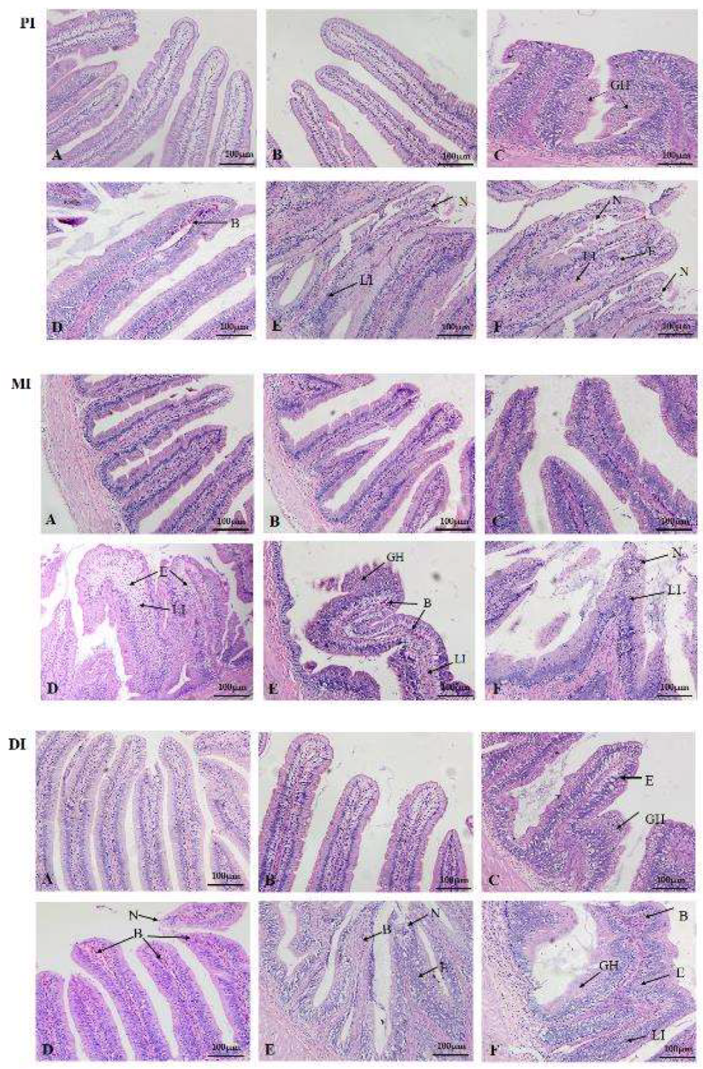 Toxins 11 00333 g003 Toxins 11 00333 g003