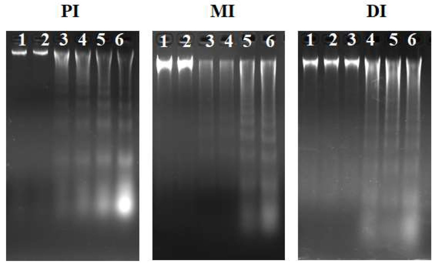 Toxins 11 00333 g006 Toxins 11 00333 g006