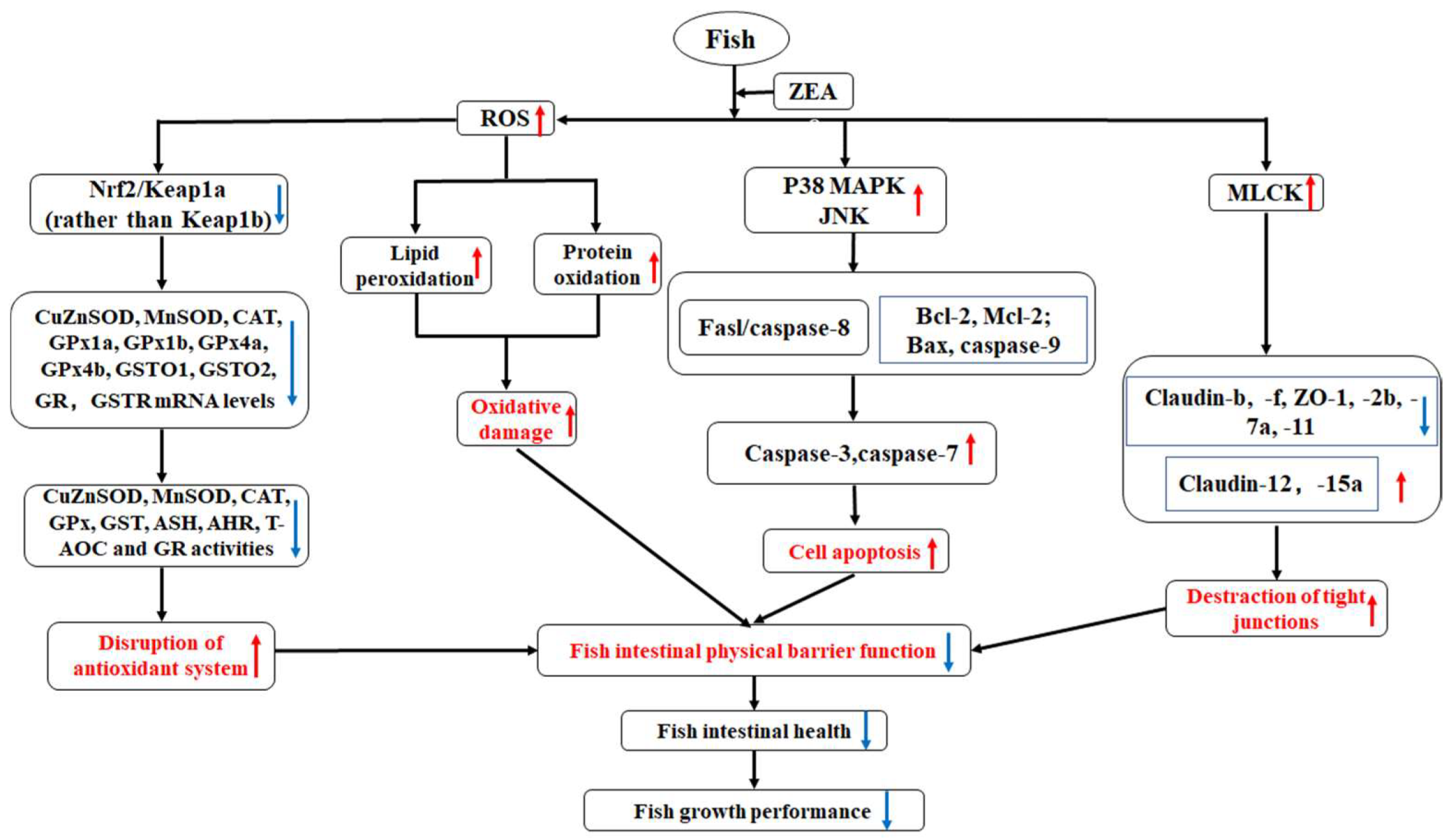 Toxins 11 00333 g009 Toxins 11 00333 g009