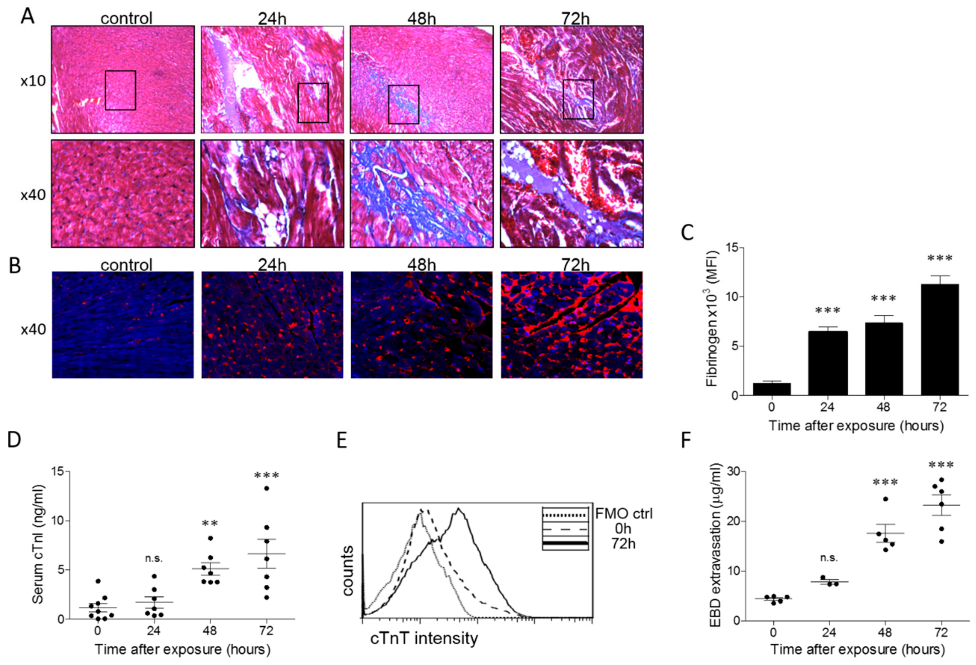 Toxins 11 00344 g004