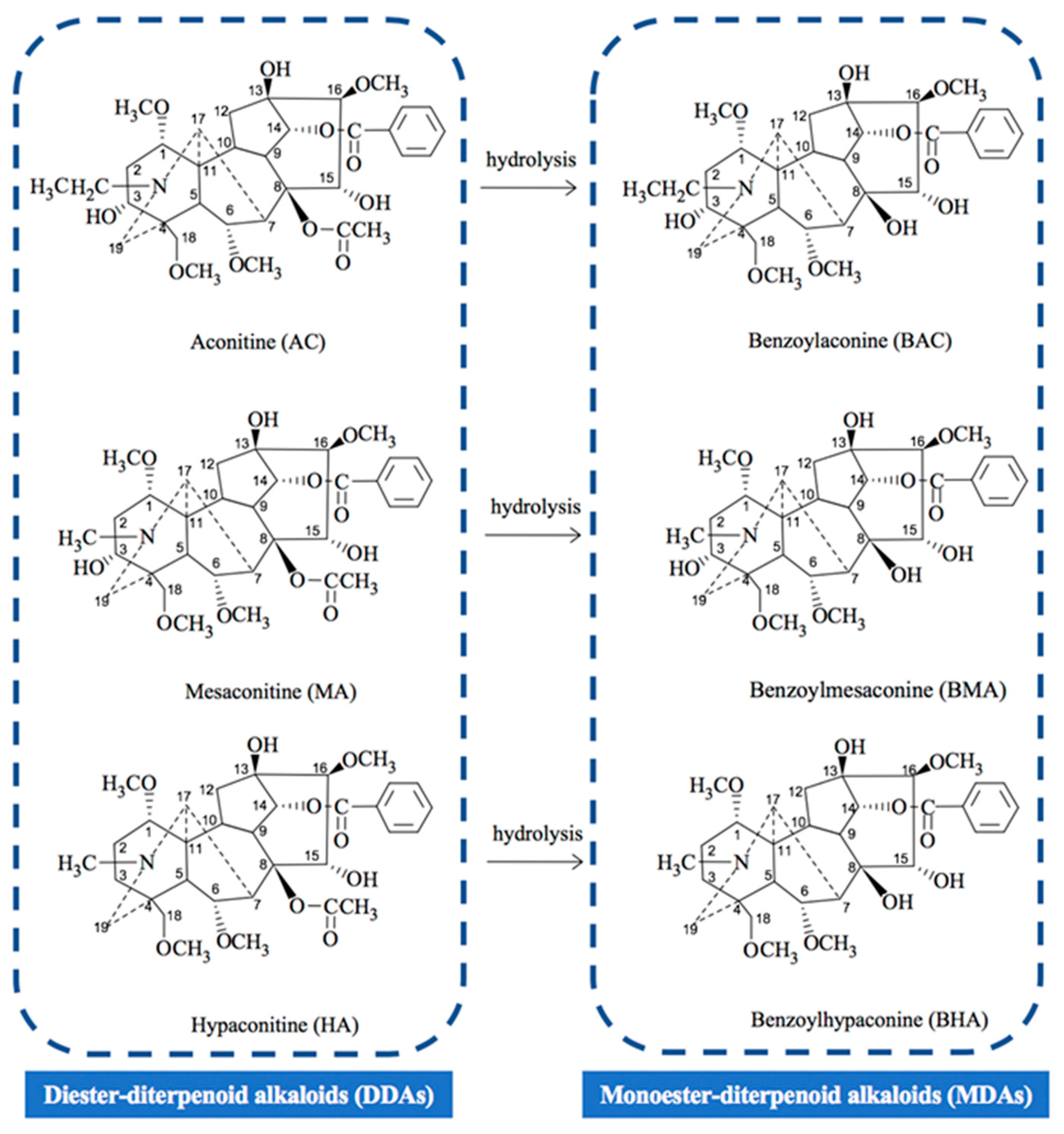 Toxins 11 00353 g001