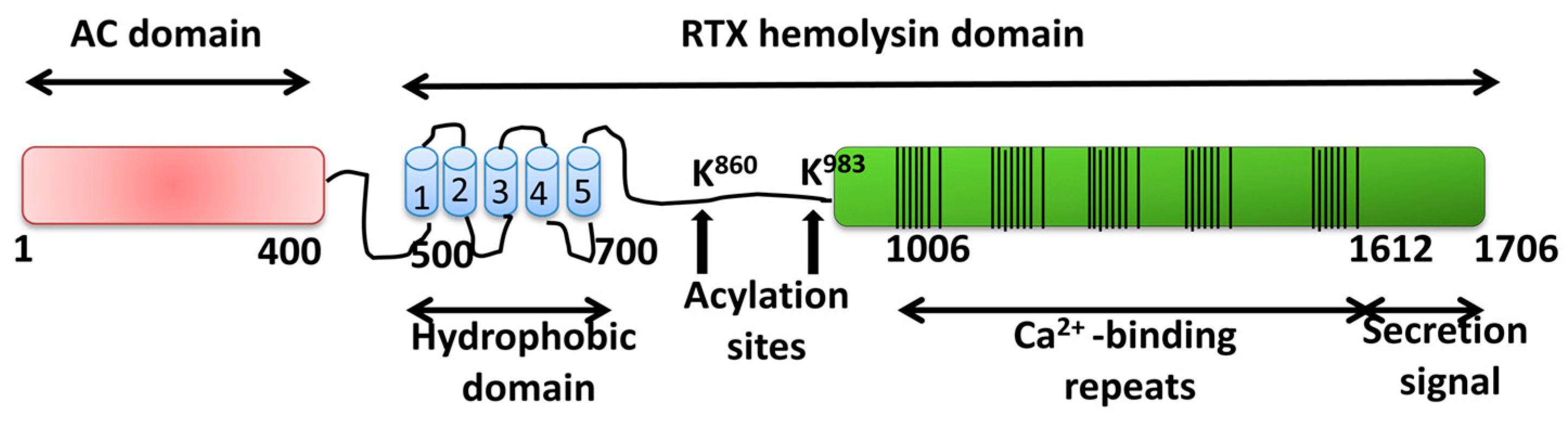 Toxins 11 00354 g003 Toxins 11 00354 g003